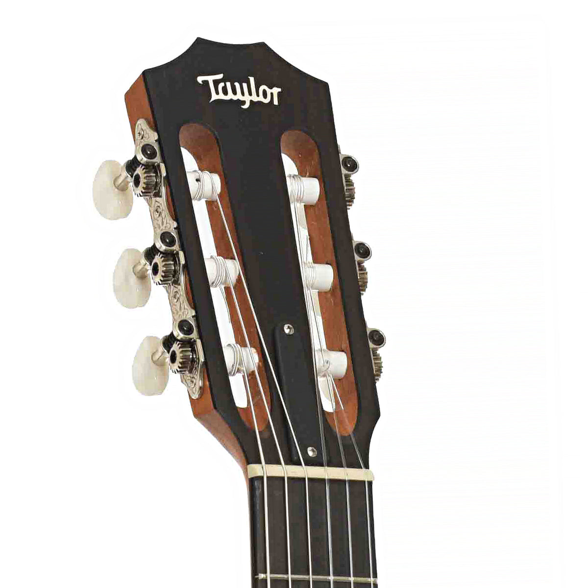 Front peghead of Taylor 214ce-N Plus