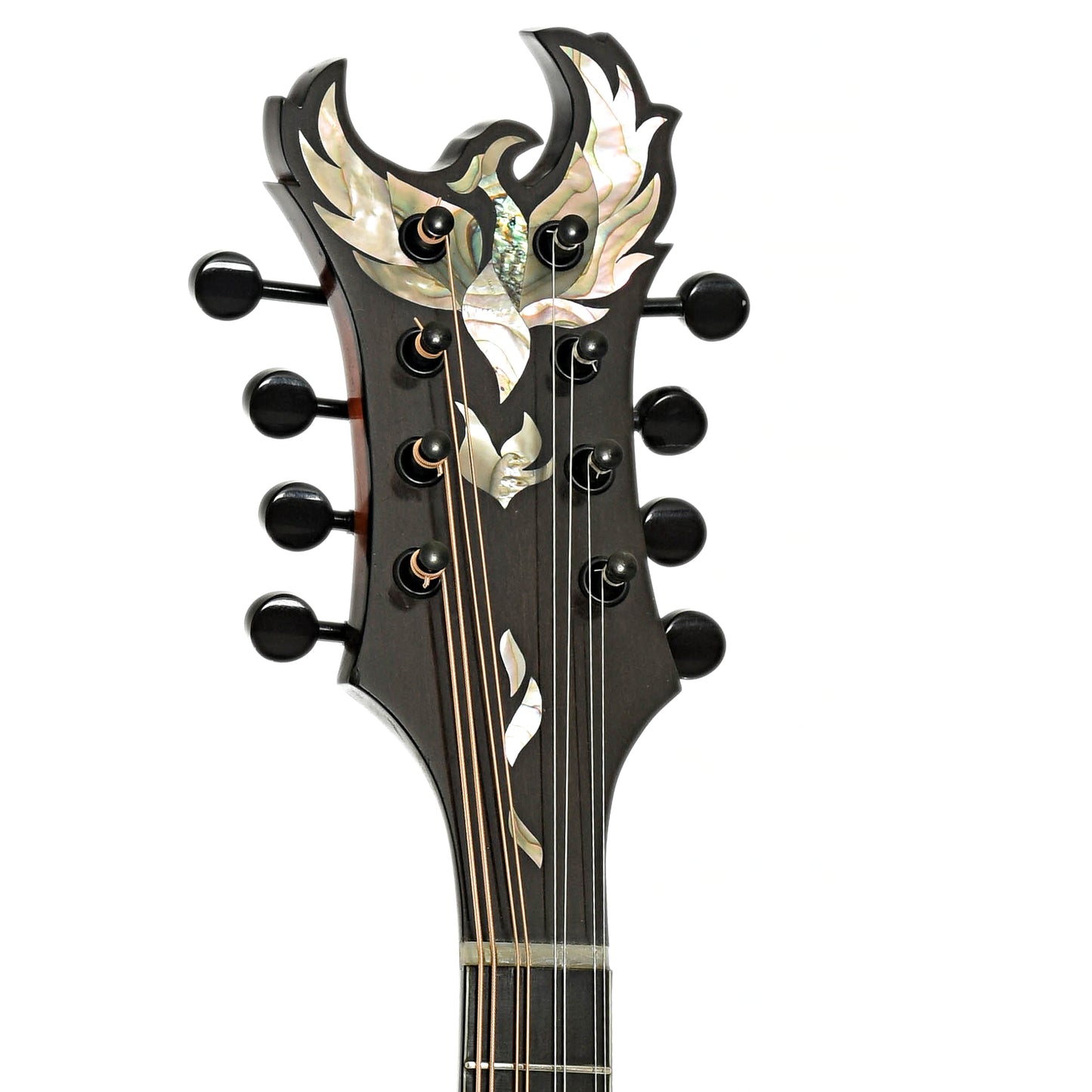 Headstock of Phoenix Ultra Mandolin 
