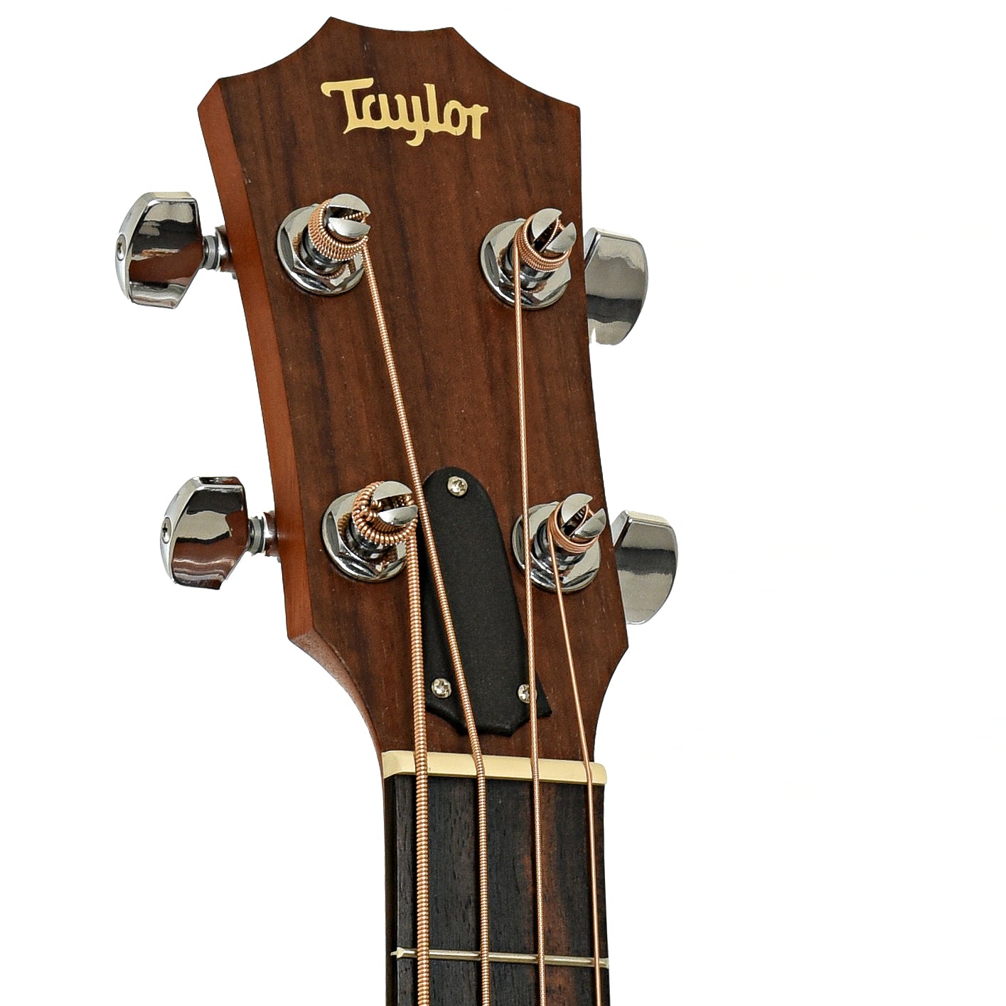 Hadstock of Taylor GS Mini Acoustic-Electric Bass