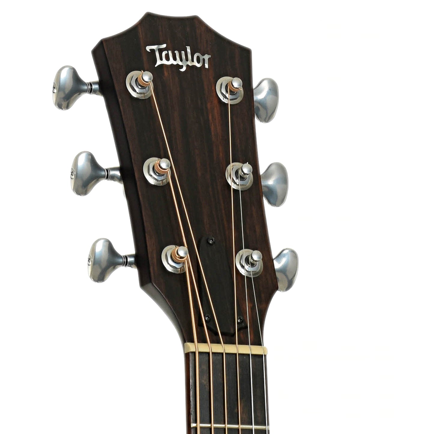 Headstock of Taylor GS Custom Acoustic Guitar