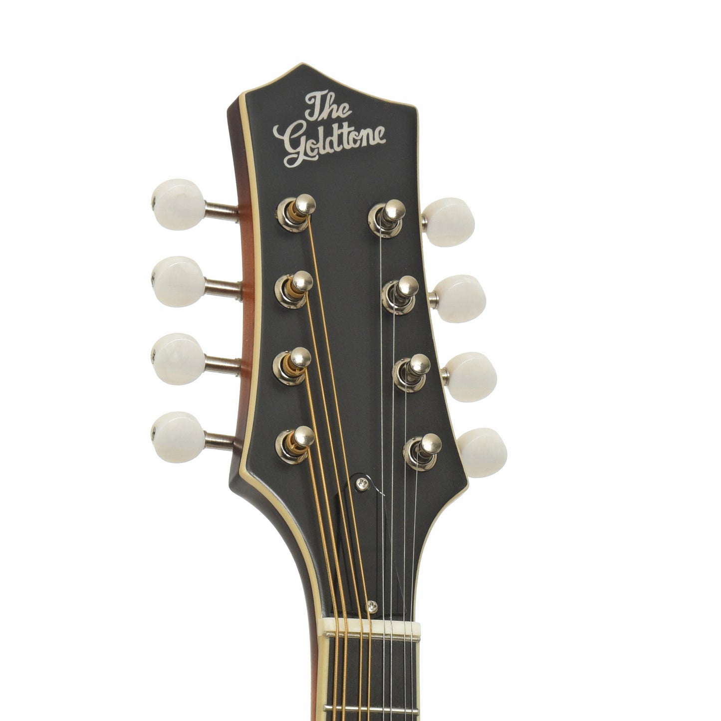 Gold Tone GM-55 A-Style Mandolin & Case