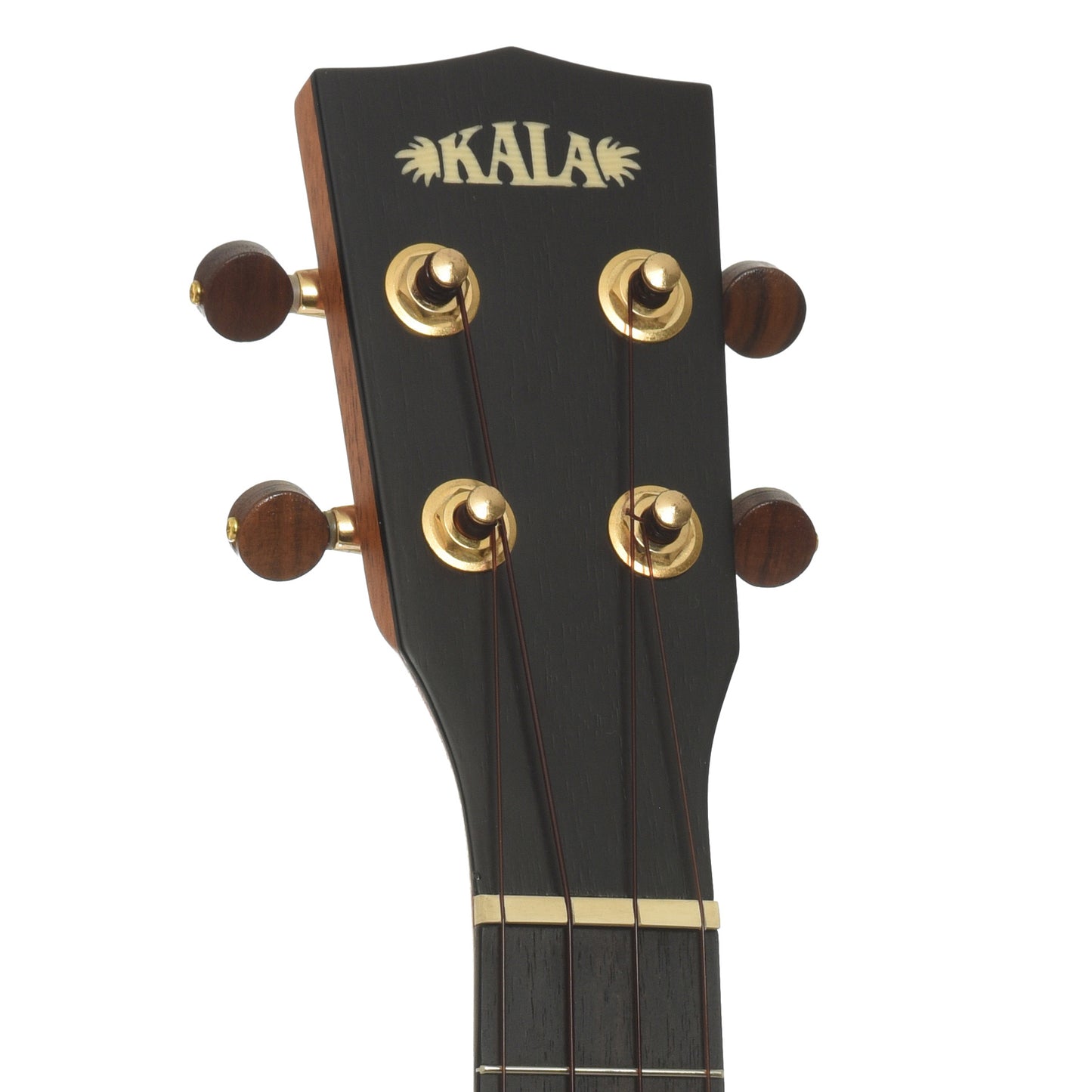 Headstock of Kala Elite 3KOA-CG Concert Ukulele