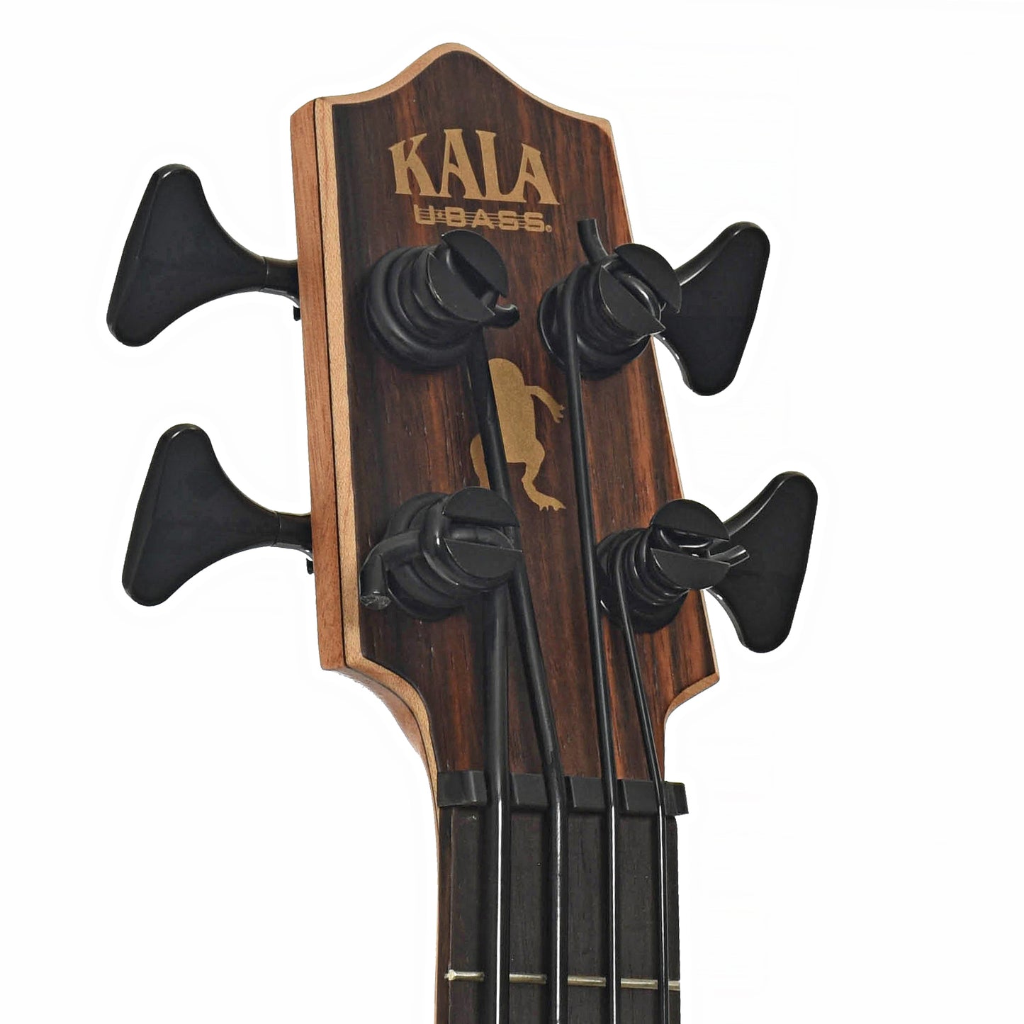Headstock of Kala U-Bass-EBY-FS 6Q  Striped Ebony Acoustic Bass 