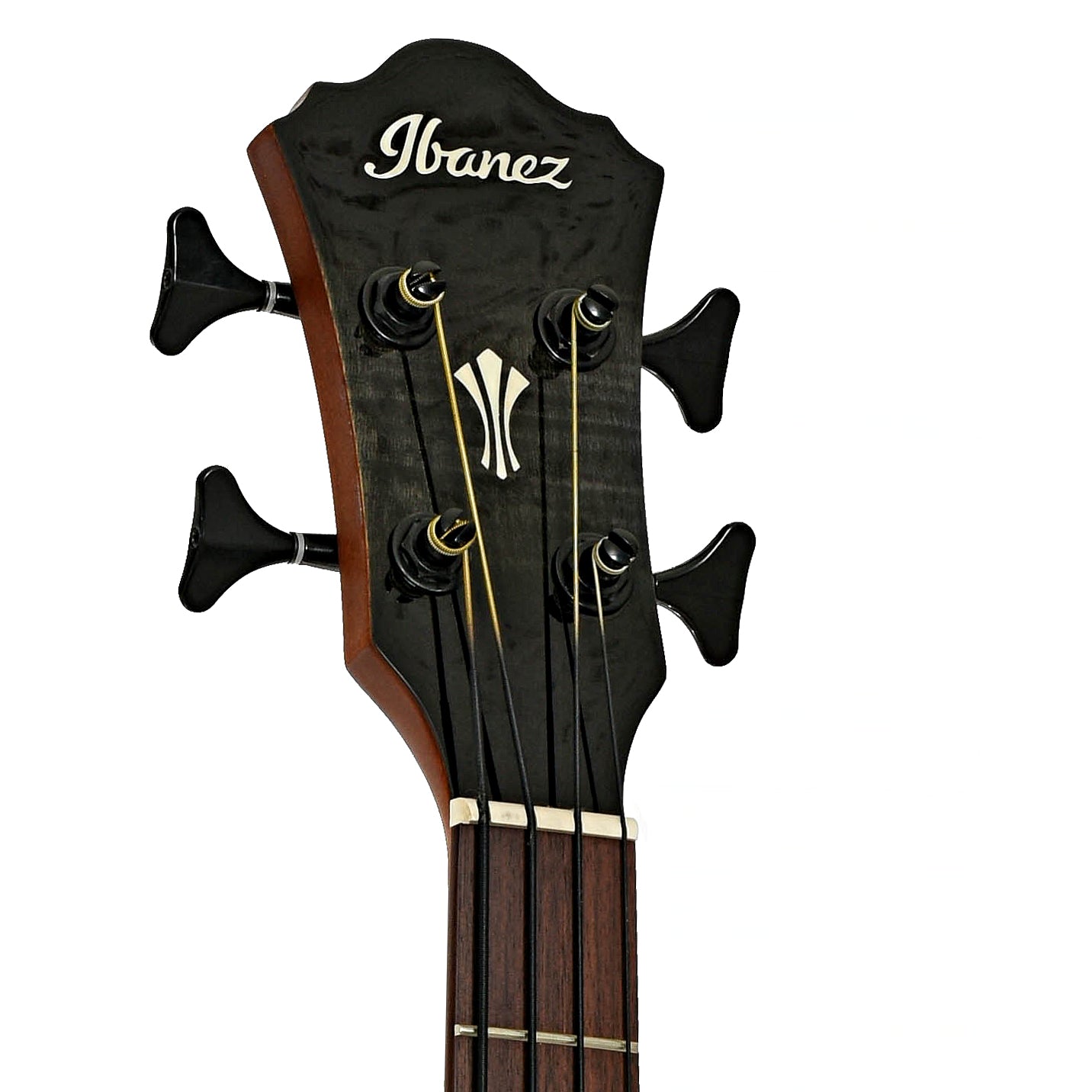 Headstock of Ibanez AEGB25E Acoustic-Electric Bass Guitar - Transparent Black Sunburst