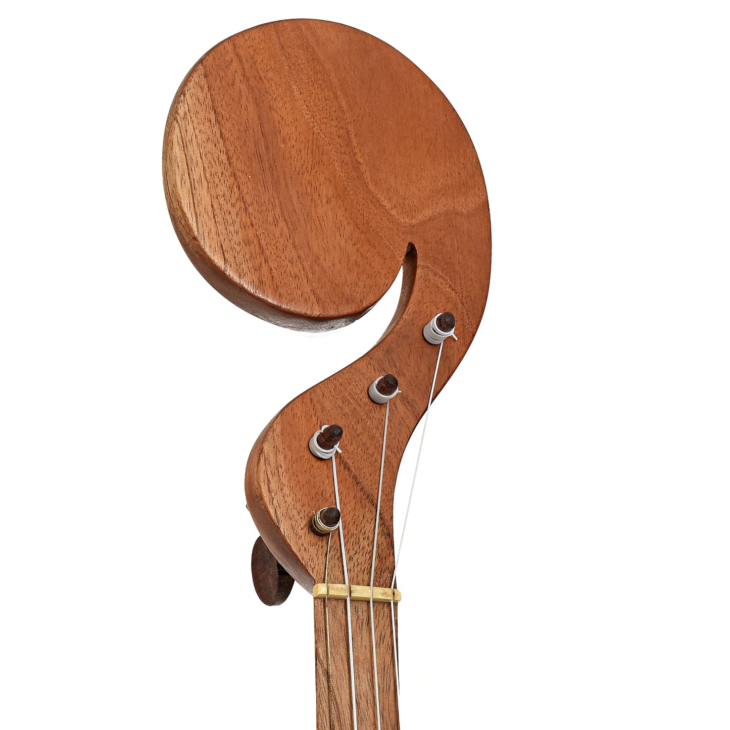 Headstock of Menzies Fretless Tackhead Banjo #596