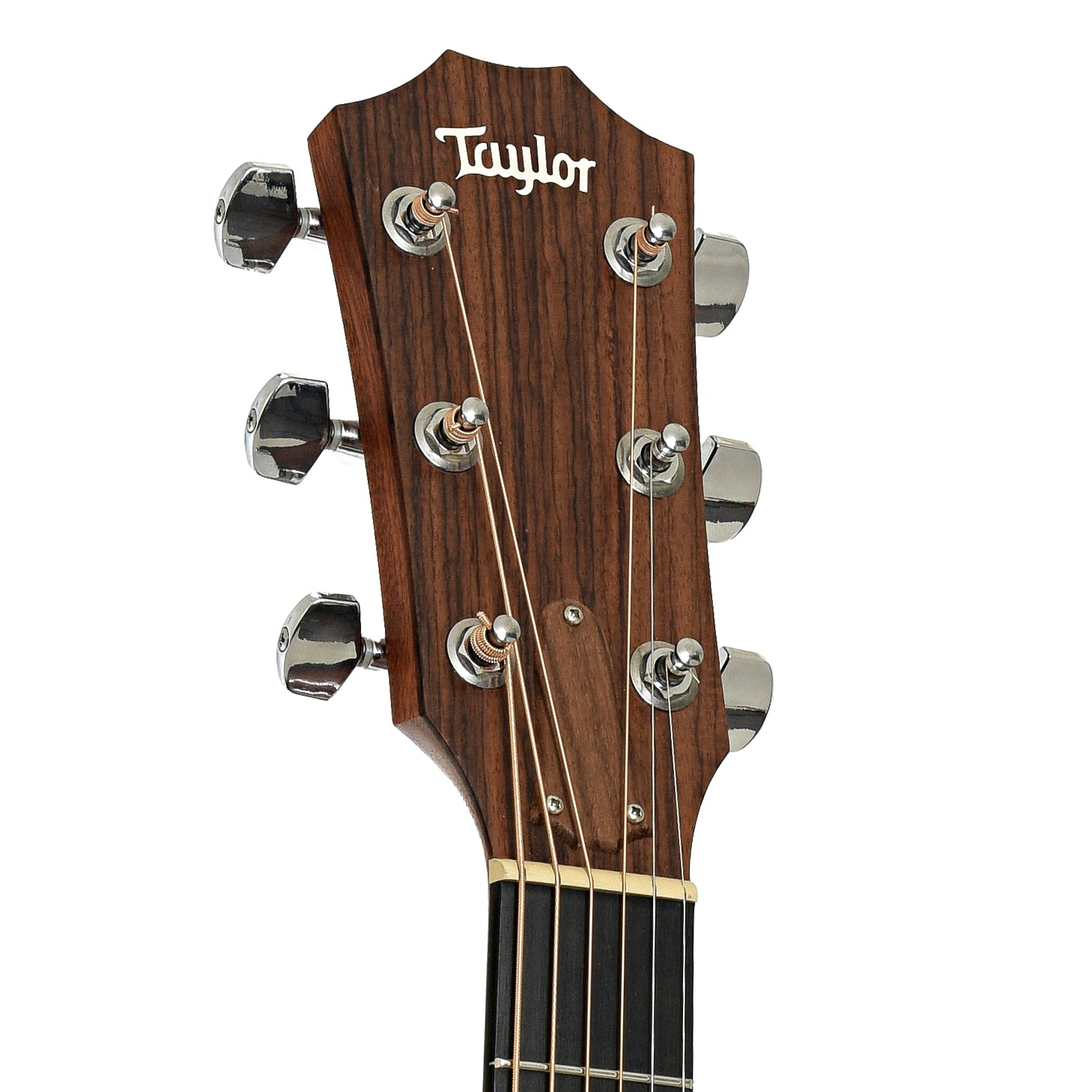 Headstock of Taylor 214ce Deluxe Acoustic Electric Guitar