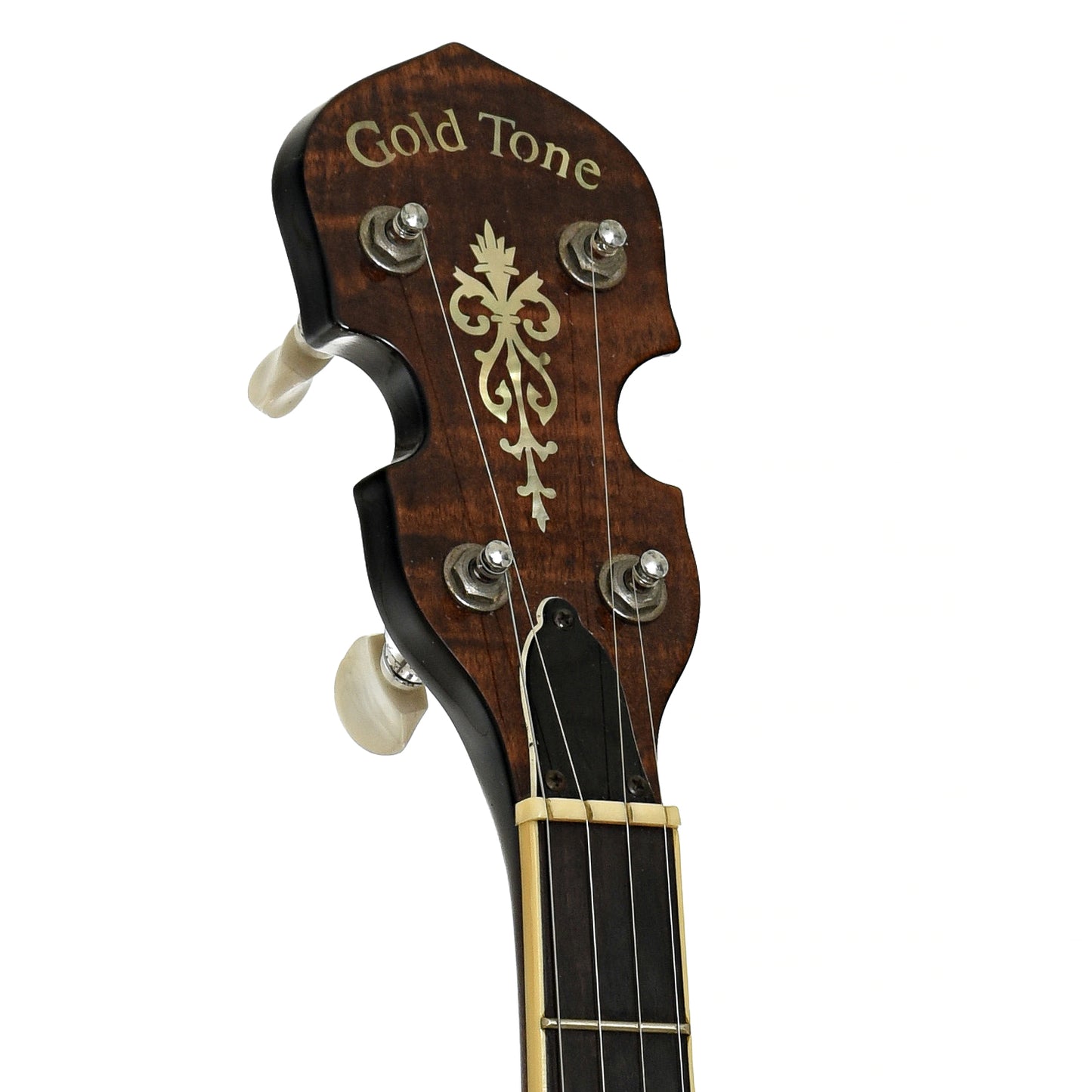 Headstock of Gold Tone WL-250 Whyte Laydie Open Back Banjo
