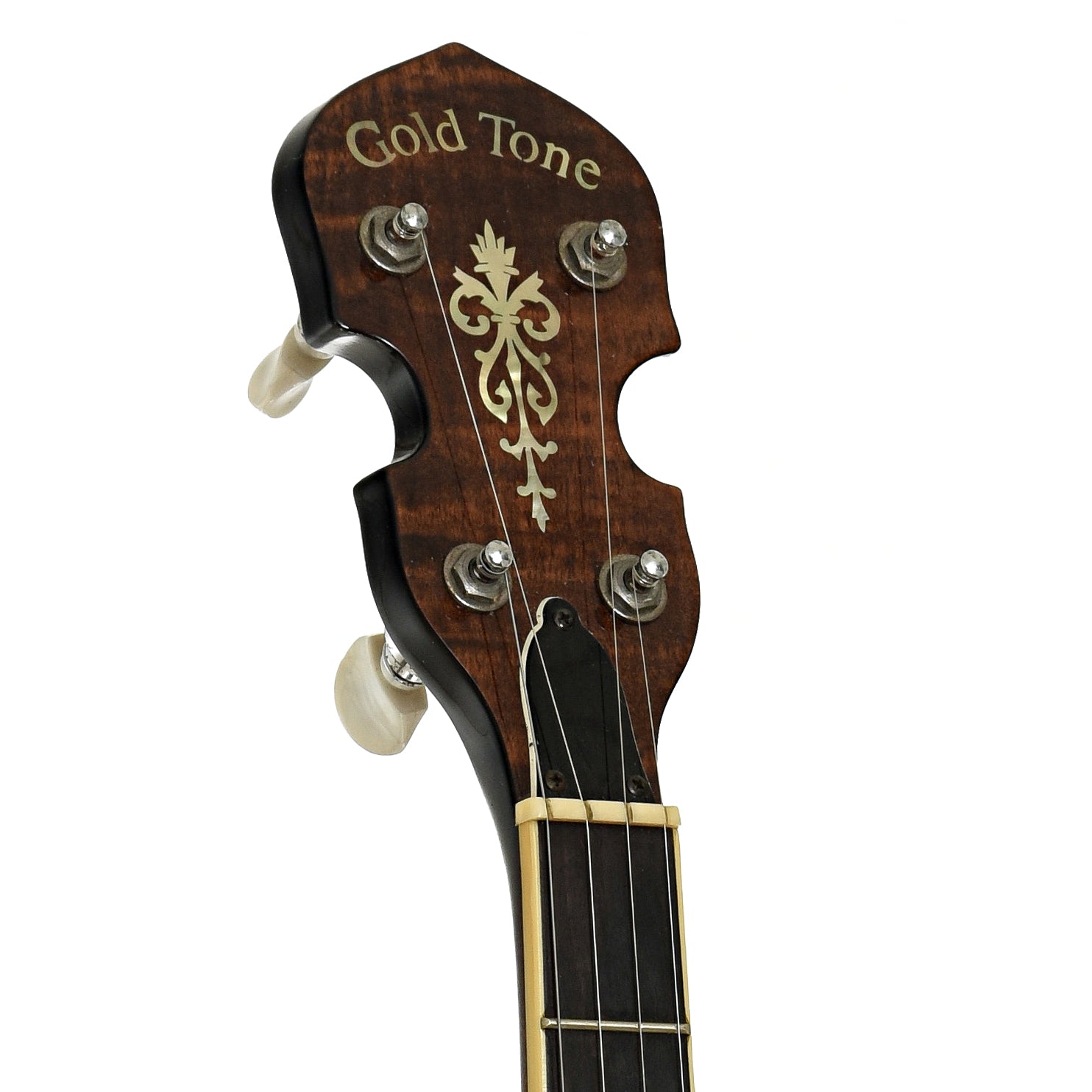 Headstock of Gold Tone WL-250 Whyte Laydie Open Back Banjo