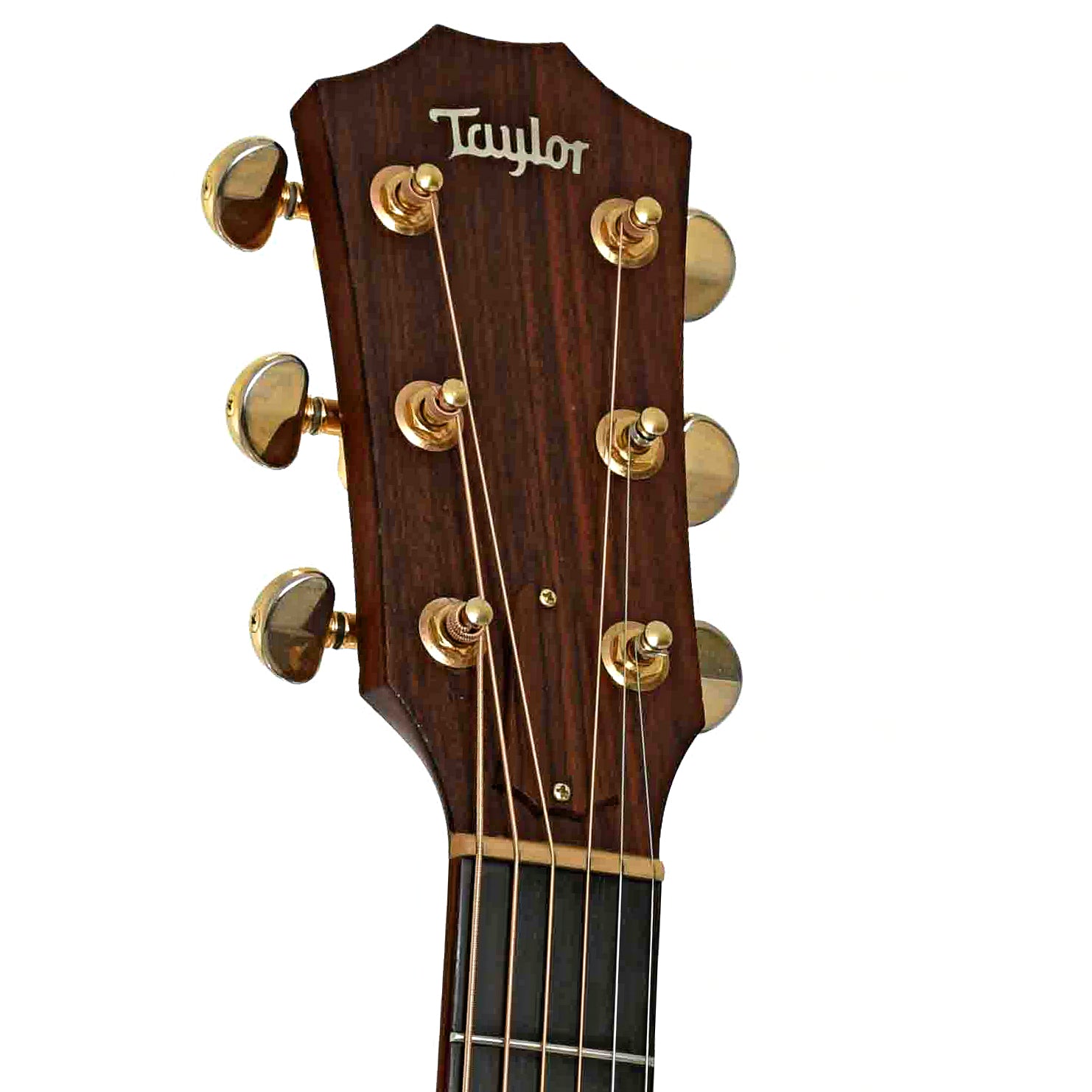 Headstock of Taylor 712ce Acoustic-Electric Guitar 