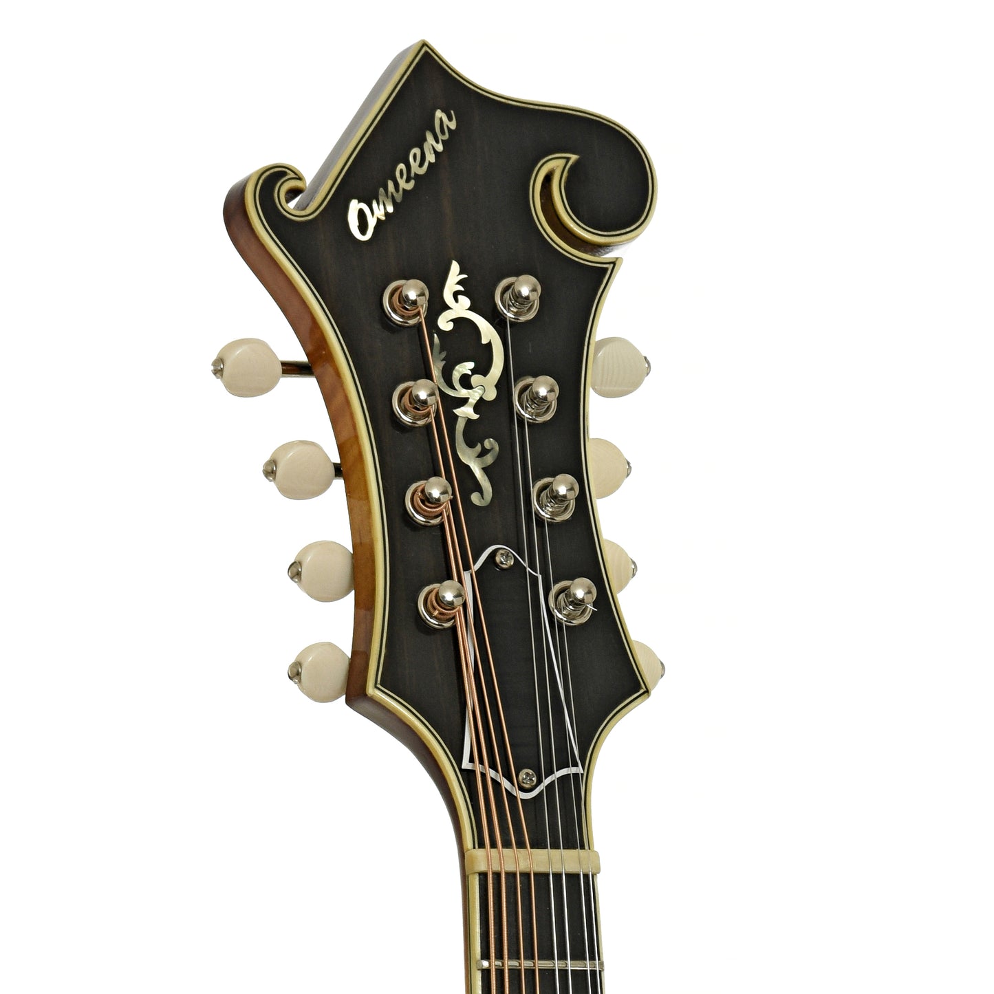 Headstock of Omeena F-Style Mandolin 