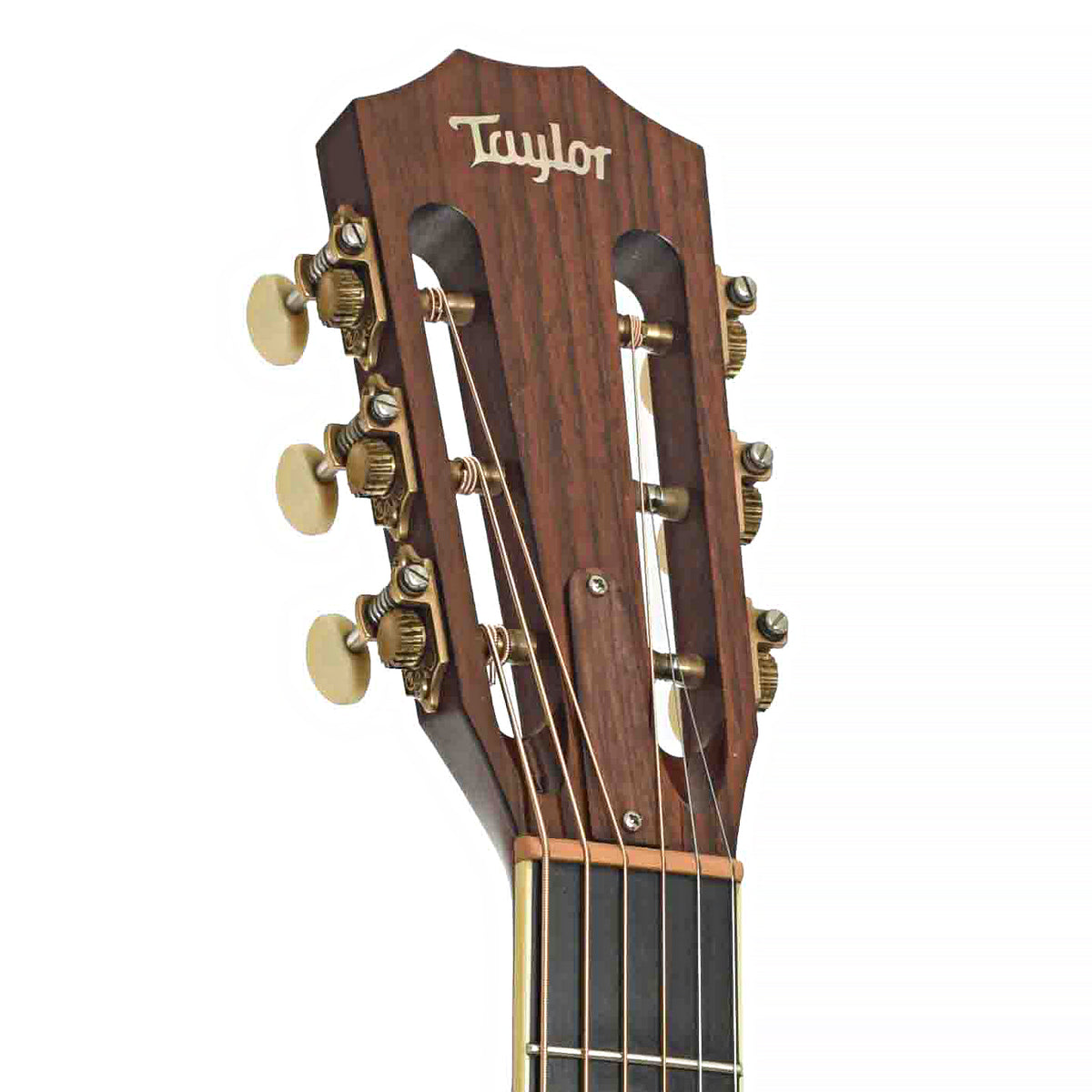 Front headstock of Taylor GC5