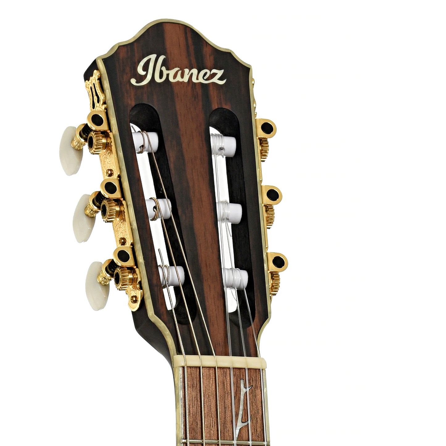 Headstock of Ibanez TOD10N Tim Henson Signature Nylon String Acoustic-Electric Guitar