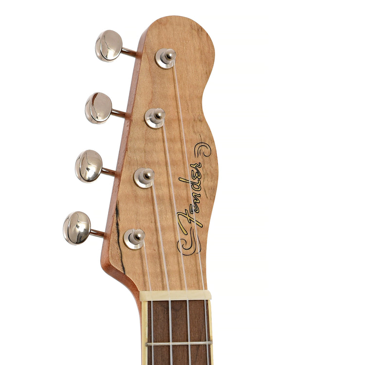 Front headstock of Fender Zuma Exotic Concert Ukulele, Spalted Maple