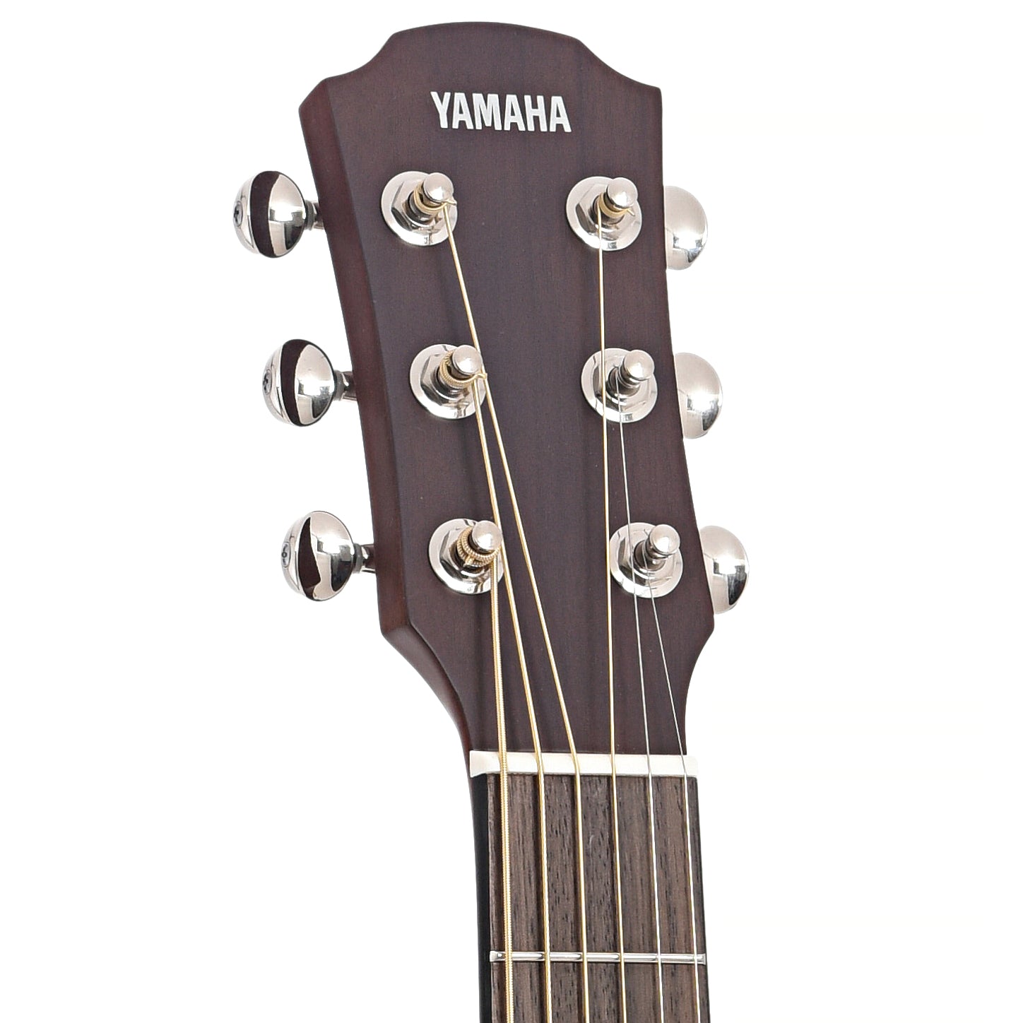 Front headstock of Yamaha CSF1M Vintage Natural Parlor Guitar