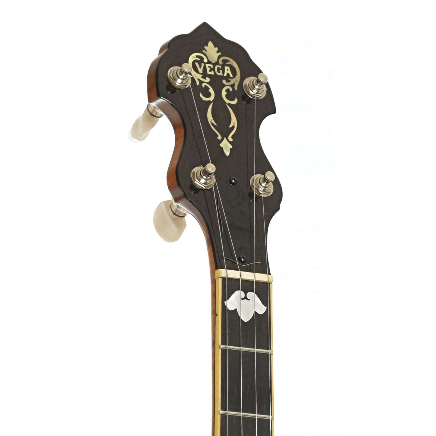Headstock of Deering Vega No. 2 Open Back Banjo