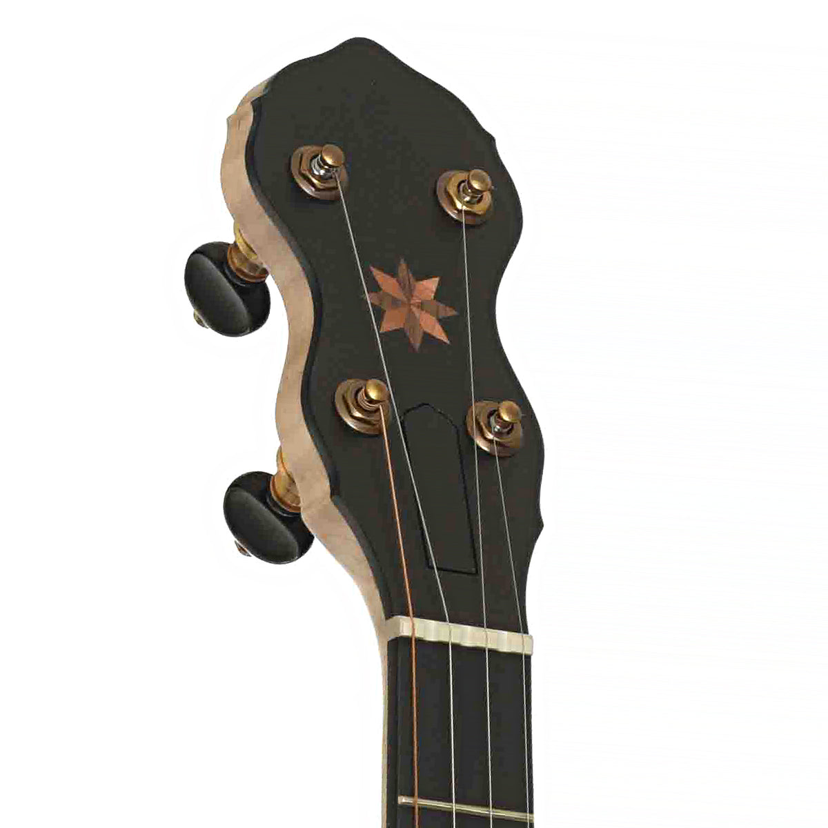 Pisgah Laydie 11in Short Scale Openback Banjo & Gigbag