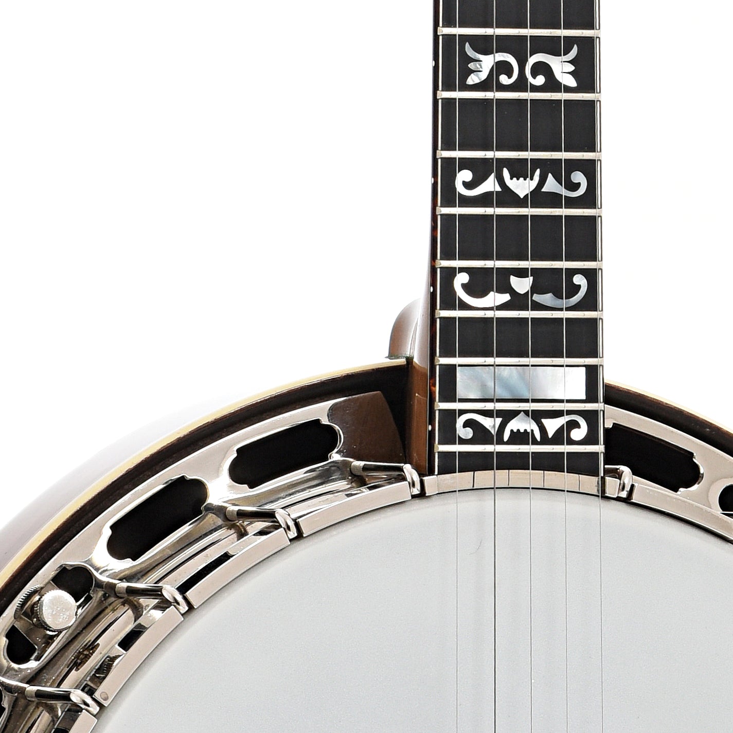 Front body and neck join of Prucha Walnut Parts banjo (c.2016)