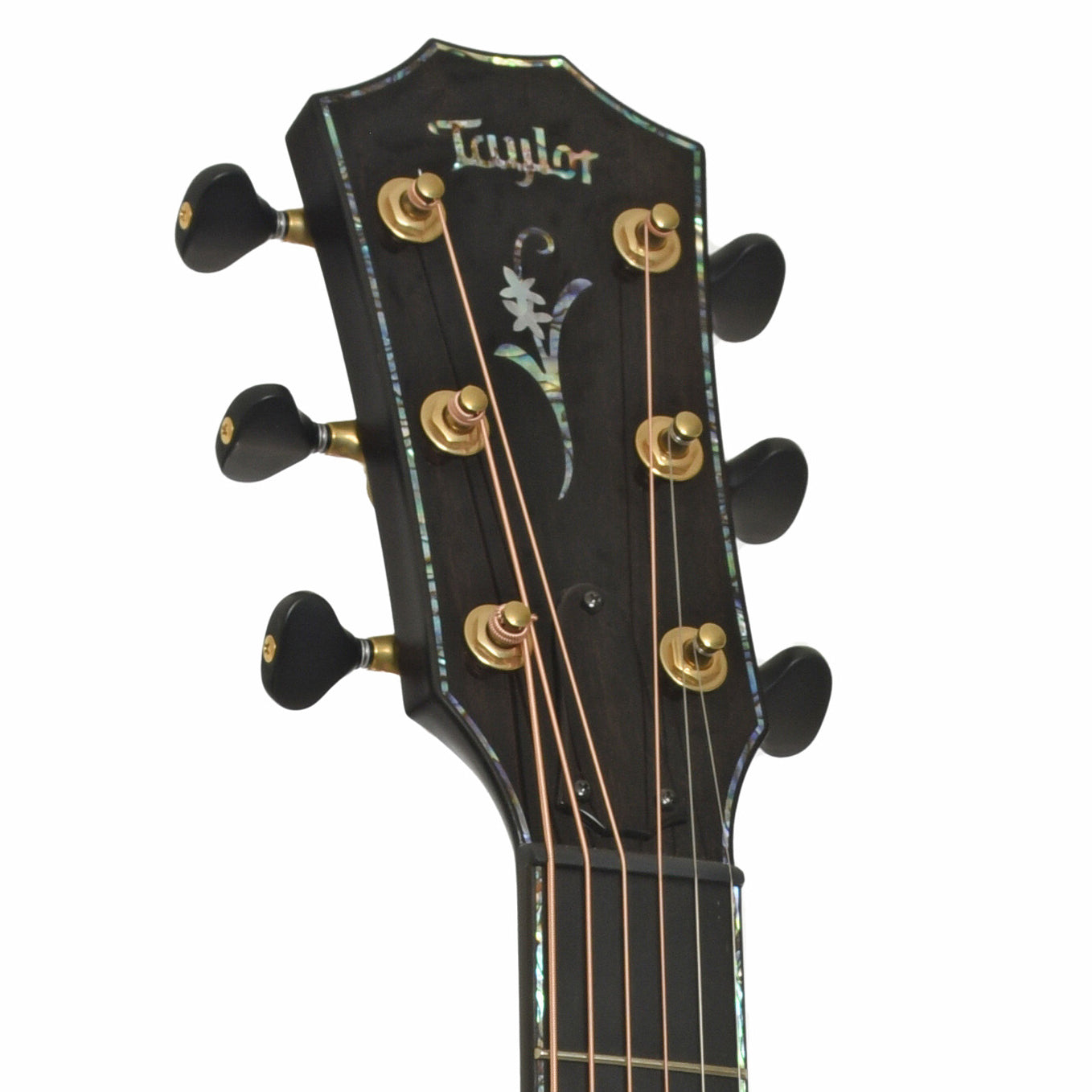 Headstock of Taylor Custom Shop C14ce B5003 "Canela" Guitar 