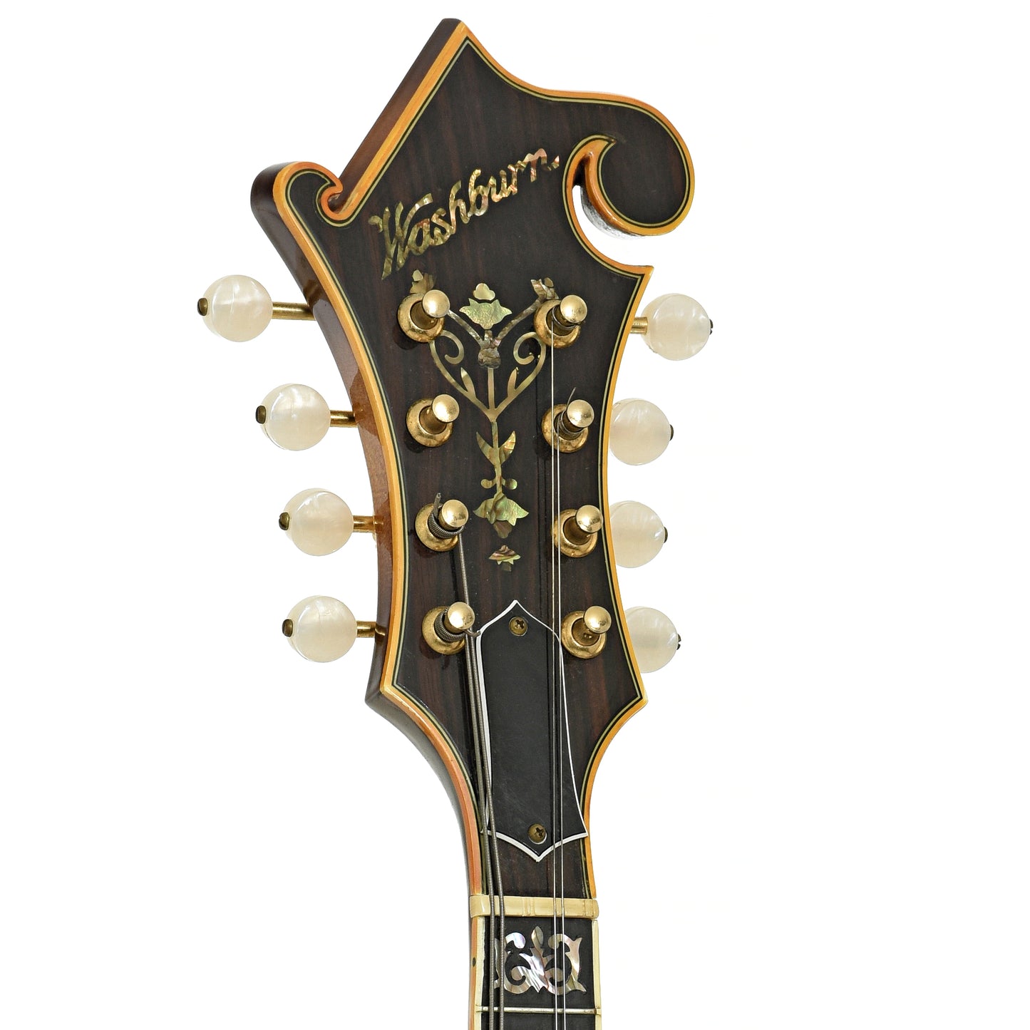 Headstock of Washburn M-5S F-Style Mandolin