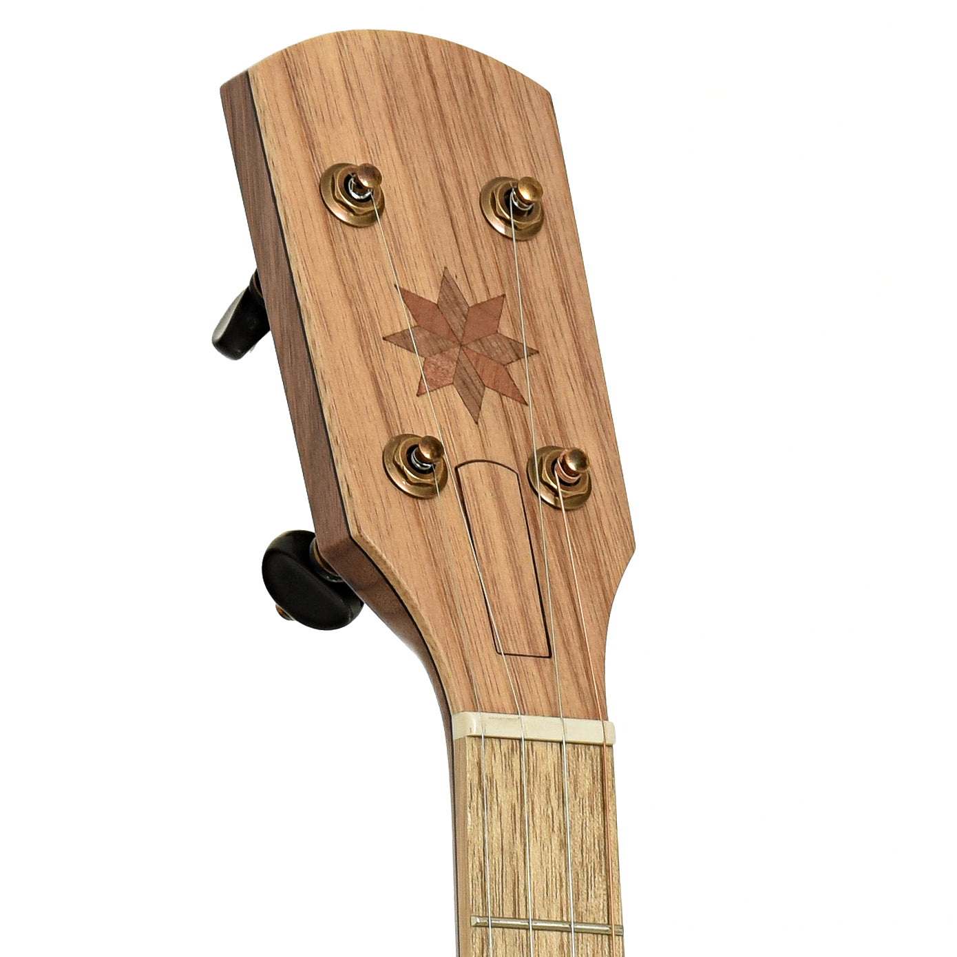 Headstock of Pisgah Appalachian 11" Lefthanded Openback Banjo 