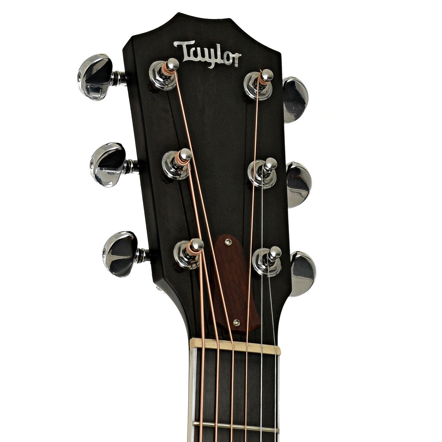 Headstock of Taylor 612 Translucent Black Acoustic Guitar
