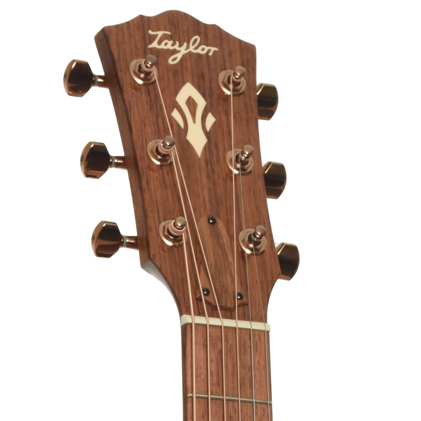 Headstock of Taylor Ben Harper Gold Label 512e Special Edition Acoustic Guitar 