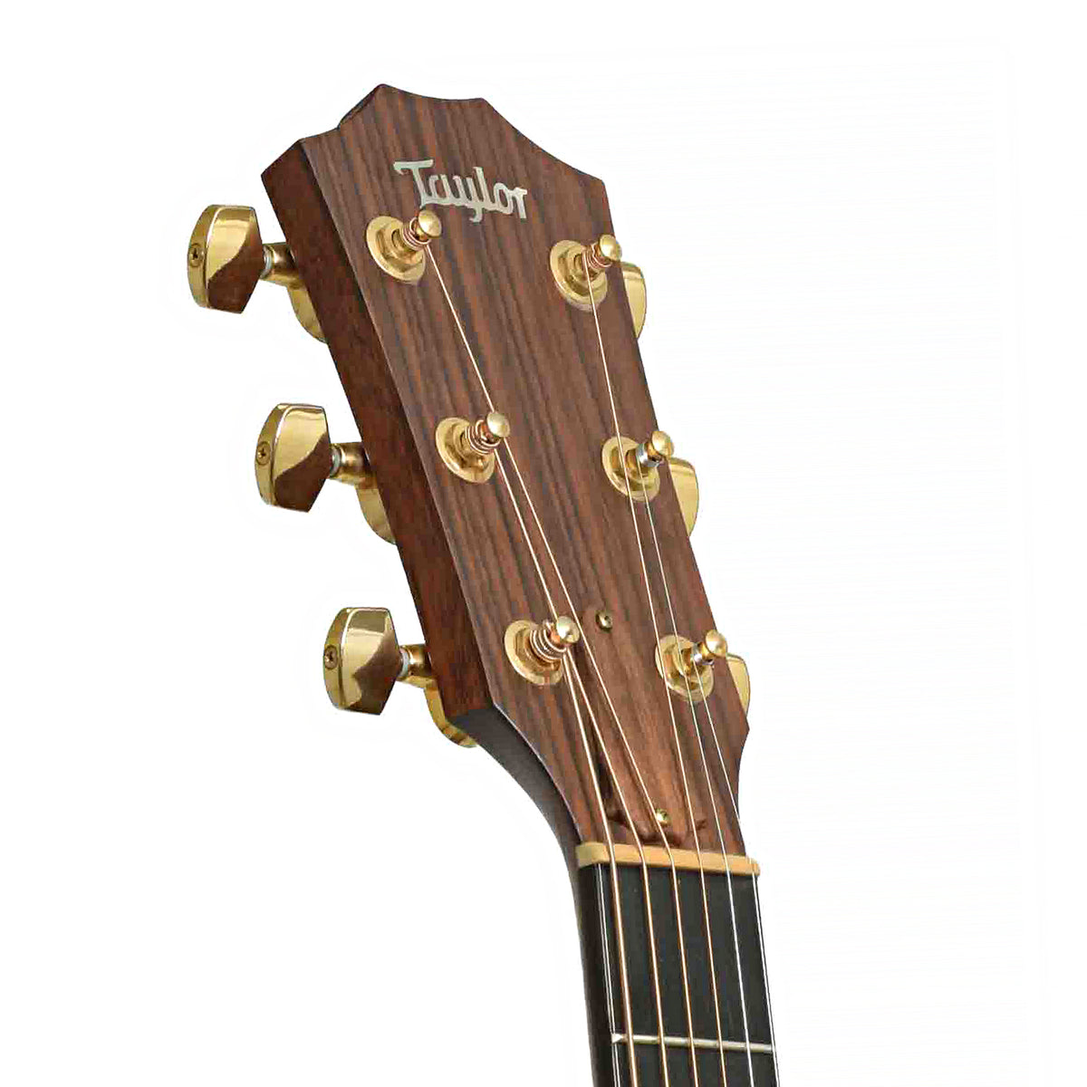 Front headstock of Taylor 516CE Acoustic-Electric Guitar