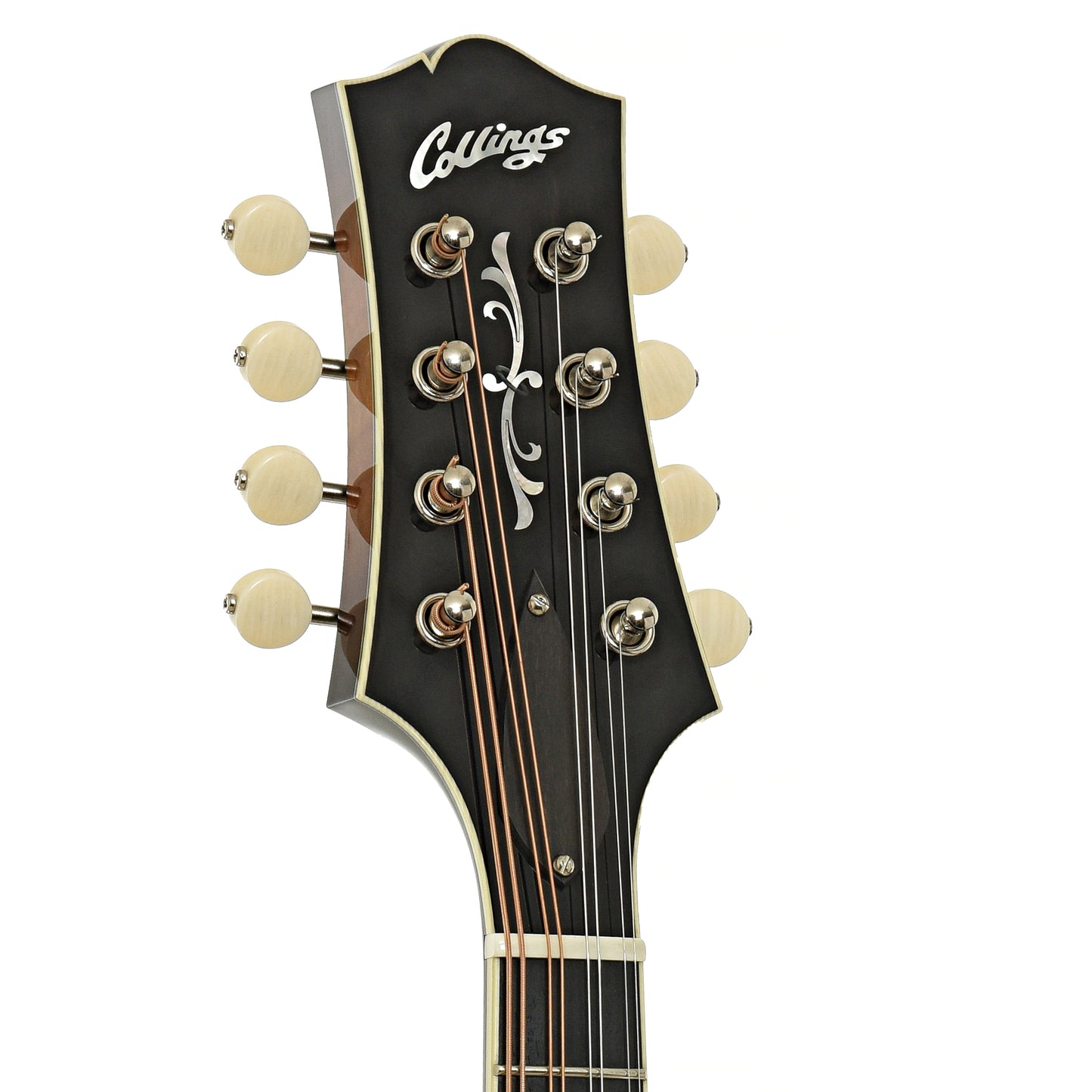 Headstock of Collings MT2 A-Style Mandolin Sunburst Finish