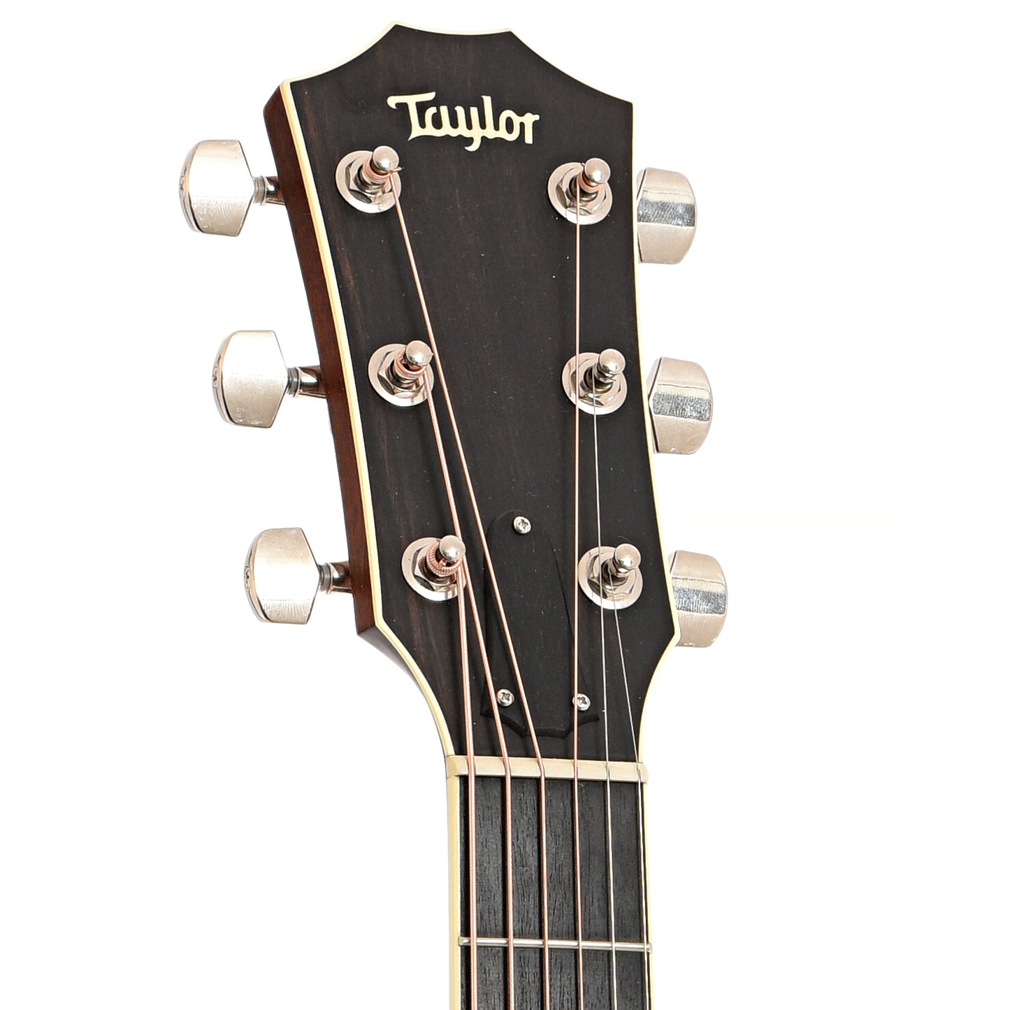 Front headstock of Taylor 528E