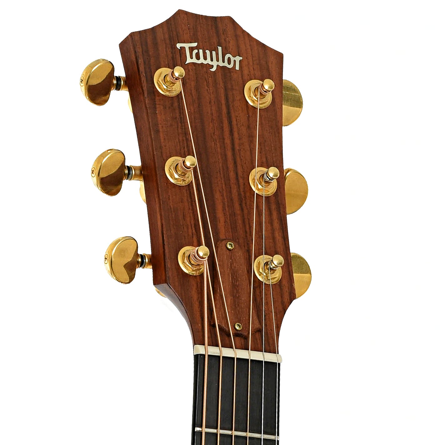 Headstock of Taylor 514-C Acoustic Guitar
