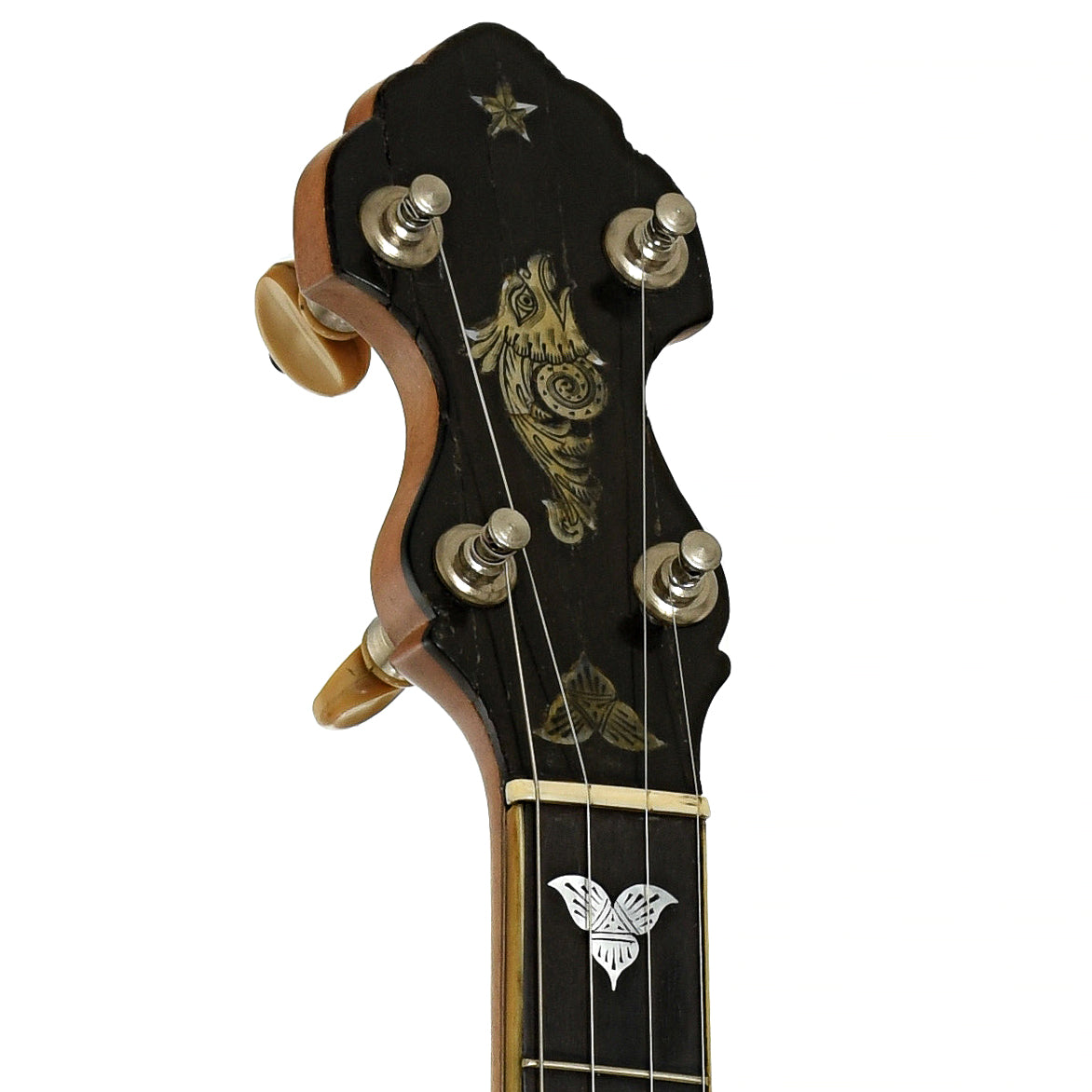 Headstock of Fairbanks Whyte Laydie No.2 Open Back Banjo 