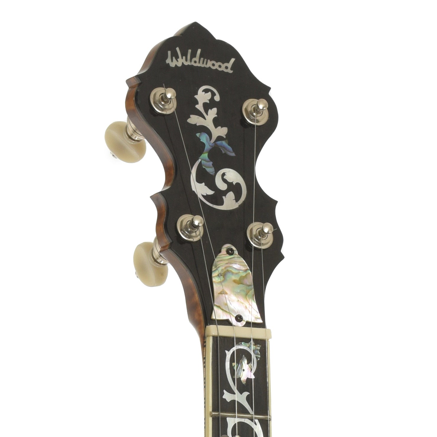 Headstock of Wildwood Balladeer Openback Banjo