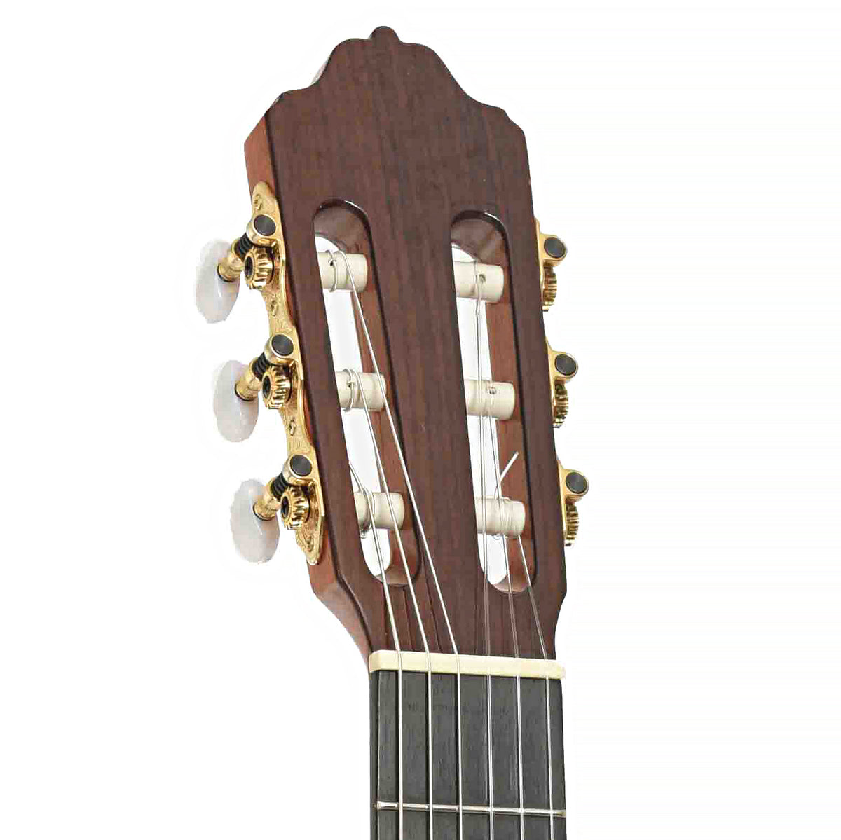 Front Headstock of Esteve 7SR Classical Guitar