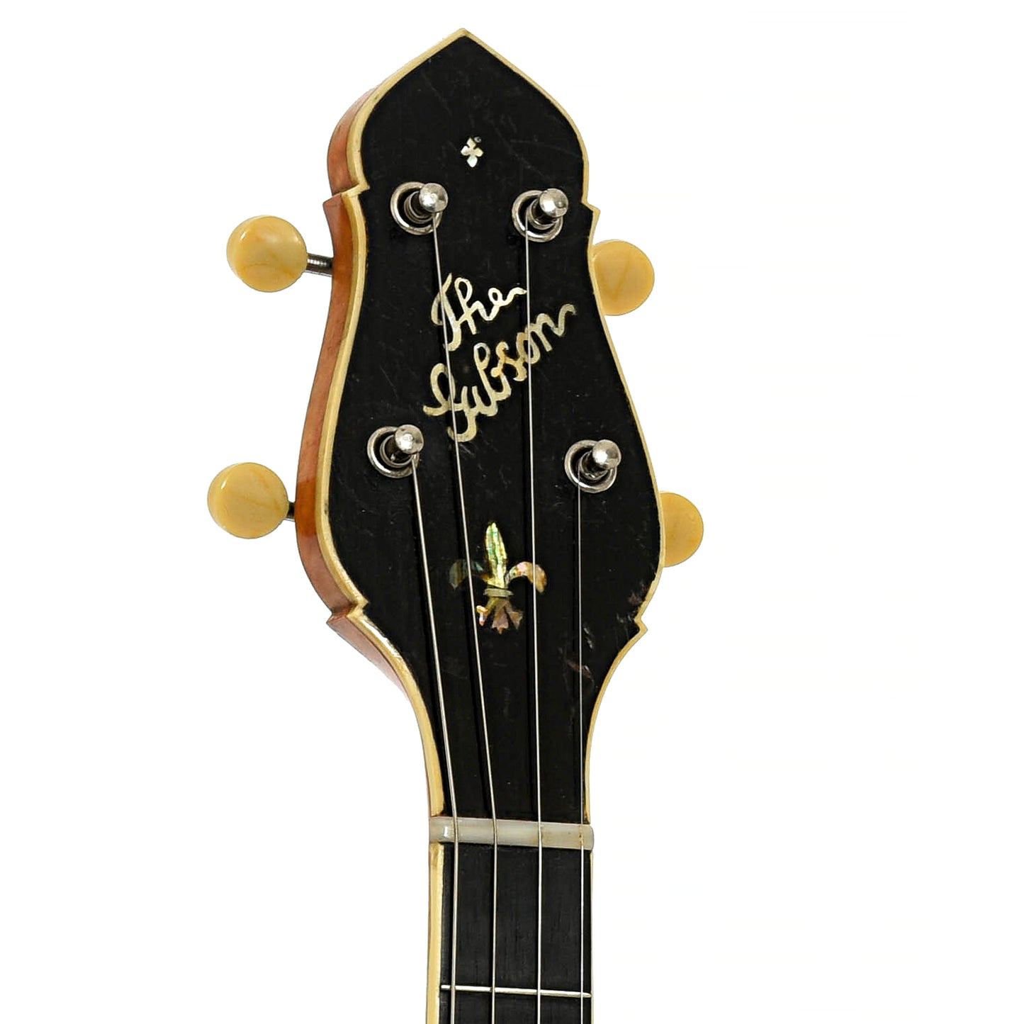 Headstock of Gibson TB Tenor Banjo