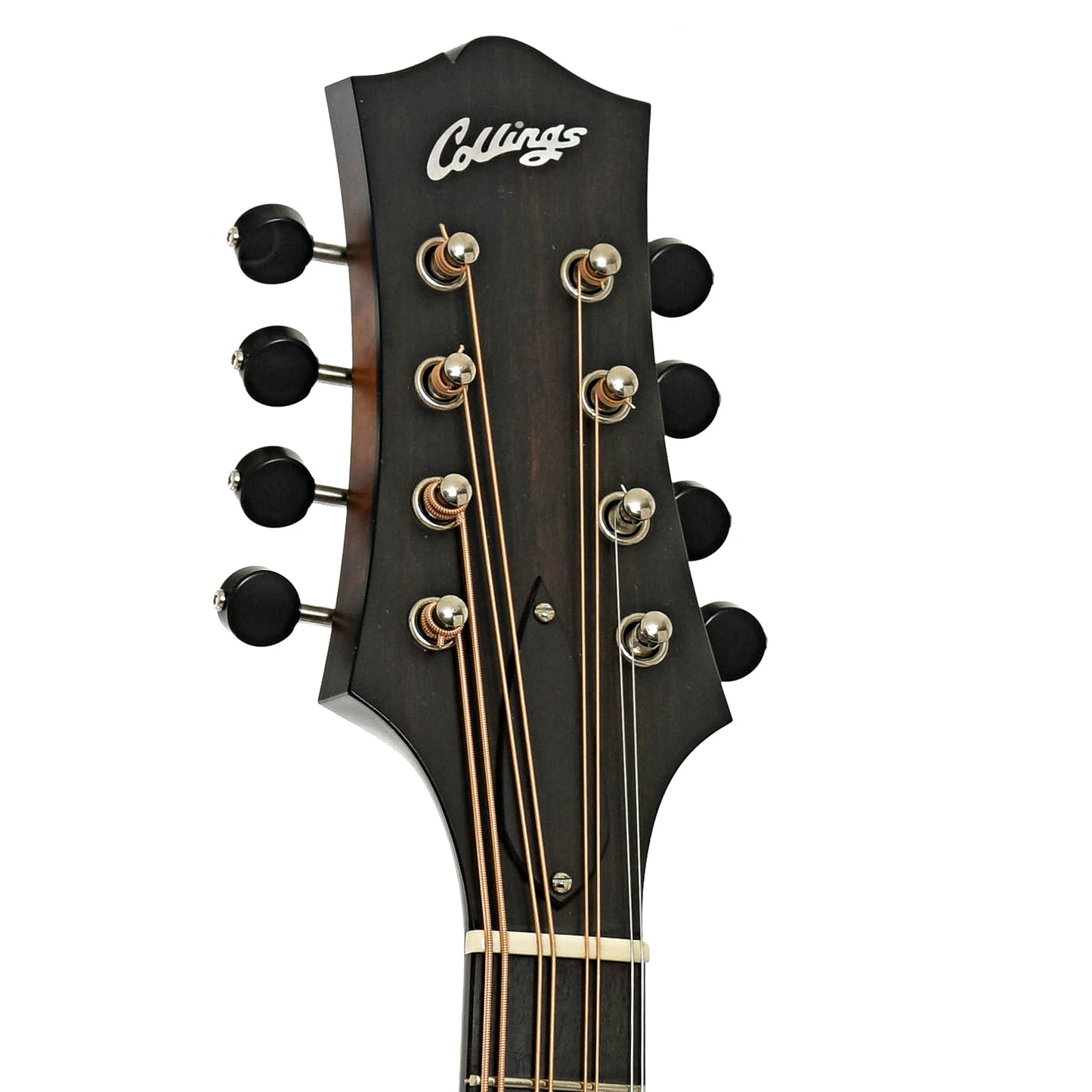 Headstock of Collings MT Mandola