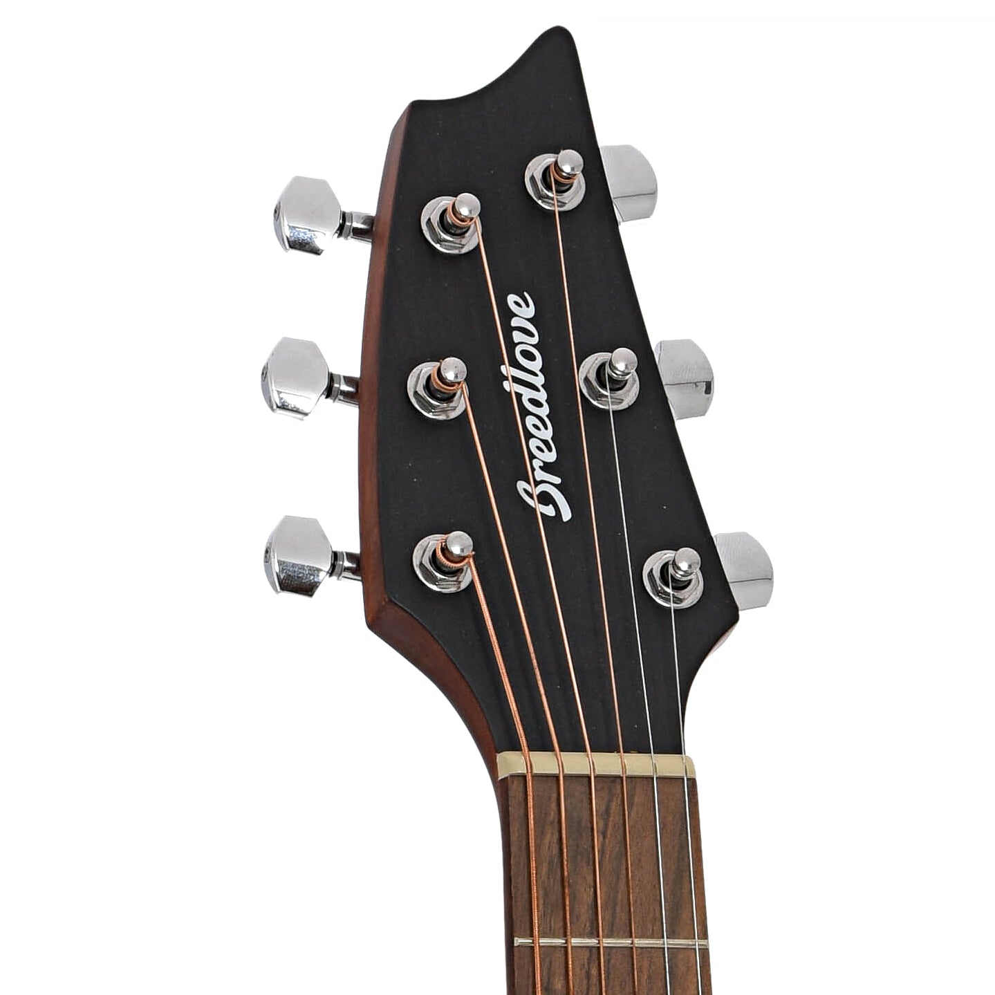Front headstock of Breedlove Discovery S Concert CE Acoustic-Electric Guitar (2021)