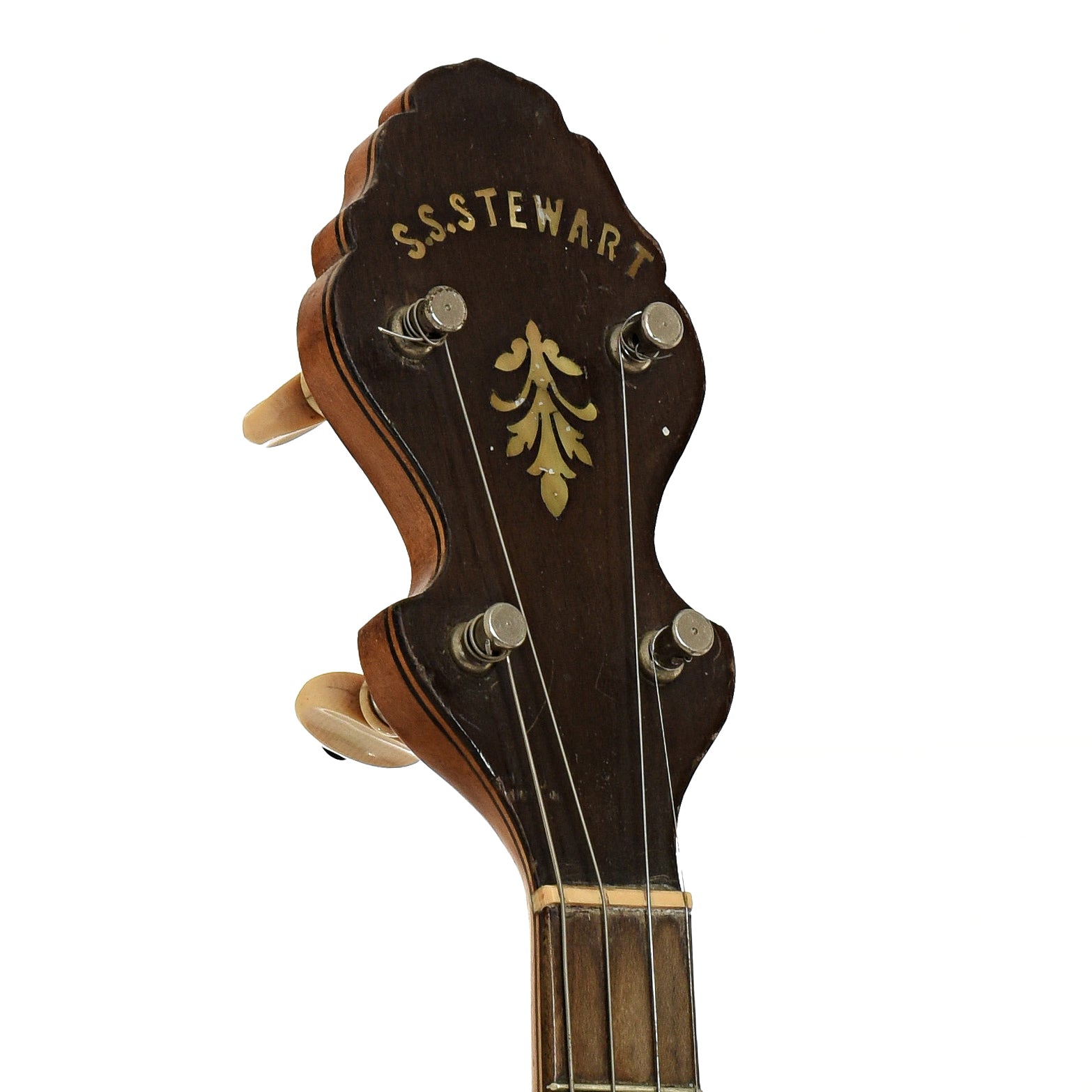 Headstock of S.S. Stewart Tenor Banjo