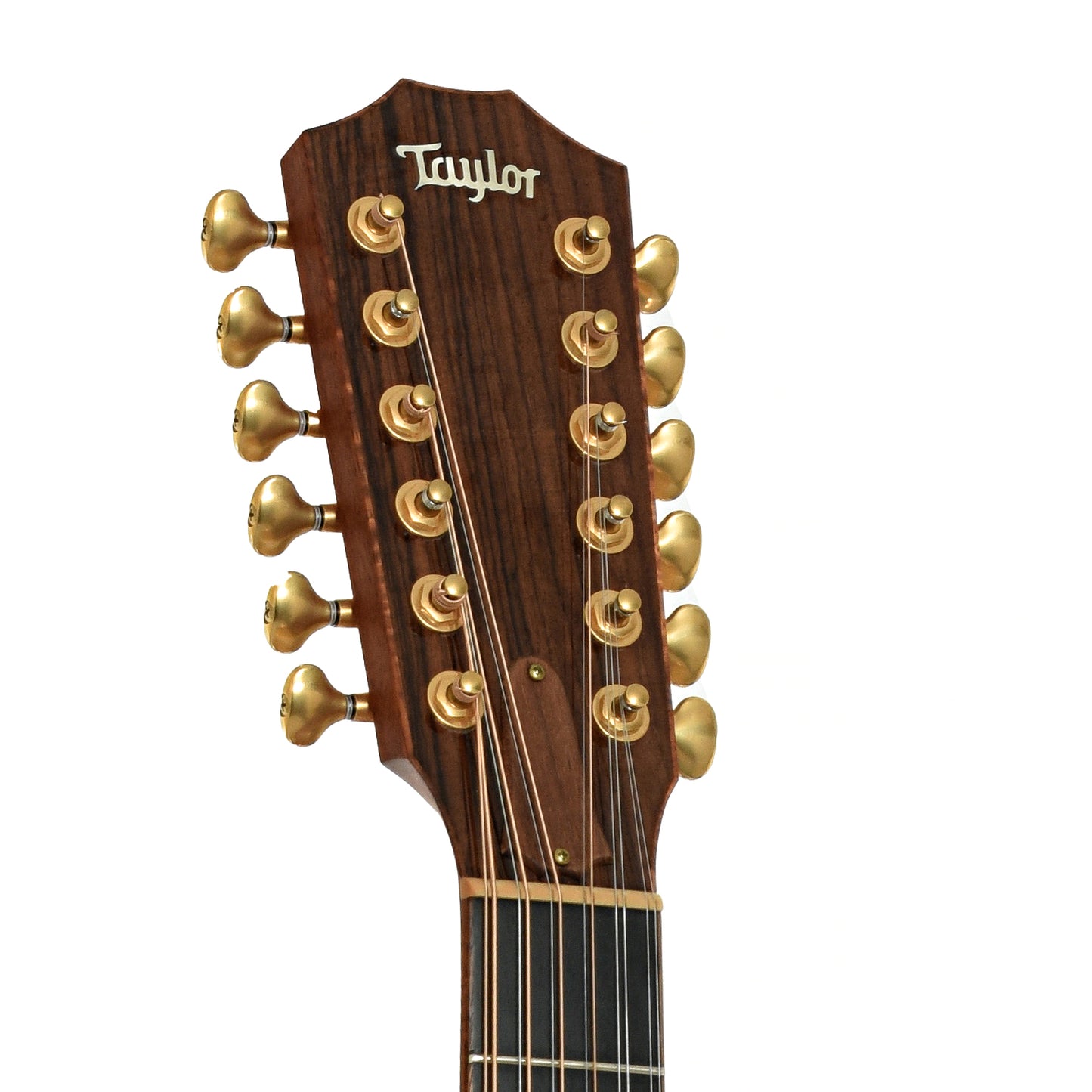 Headstock of Taylor JU-12 12-String Acoustic-Electric Guitar 