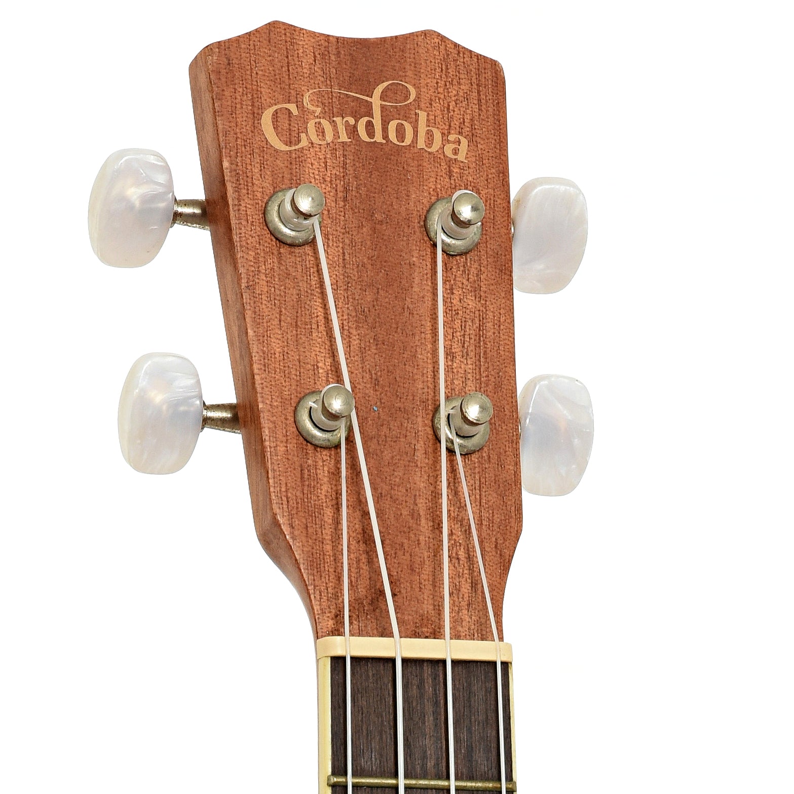 Headstock of Cordoba CM15 Concert Ukulele 
