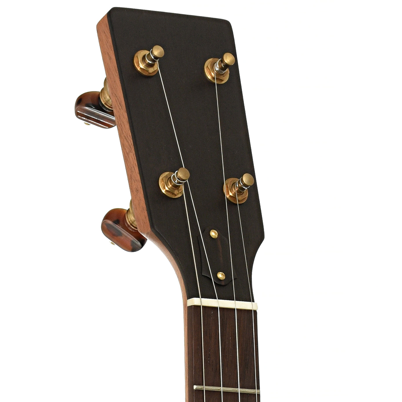Headstock of Ome Tupelo 11in Openback Banjo, Mahogany Neck