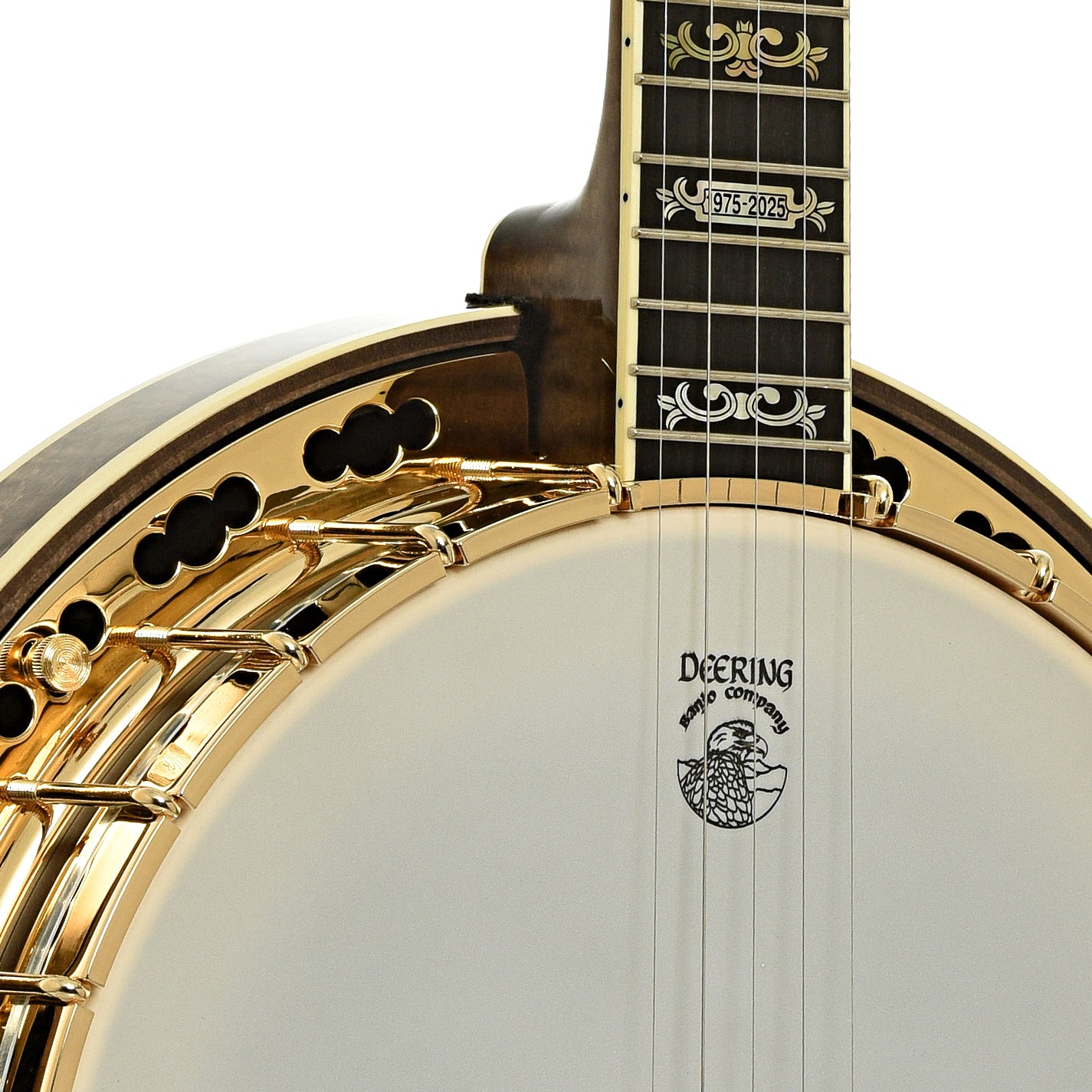 Front neck joint of Deering 50th Anniversary Limited Edition Resonator Banjo