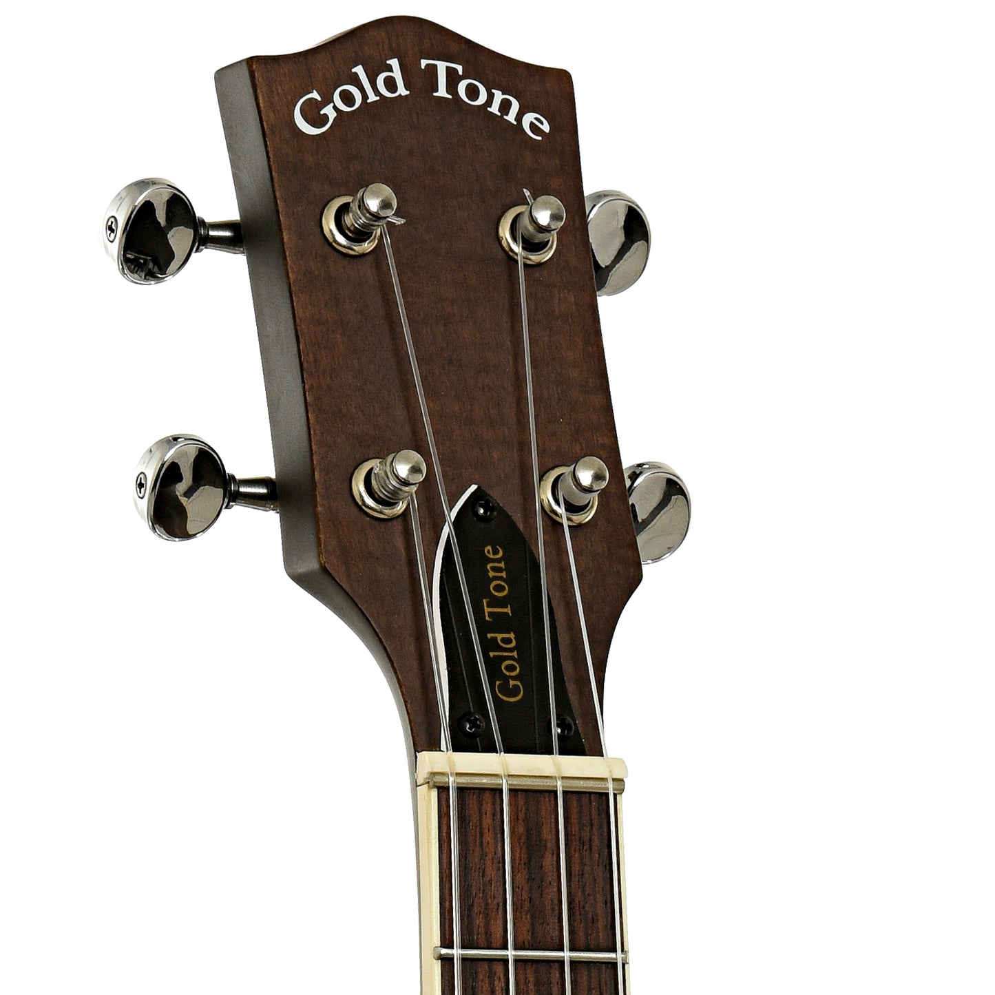 Headstock of Gold Tone BUB Baritone Banjo Ukulele