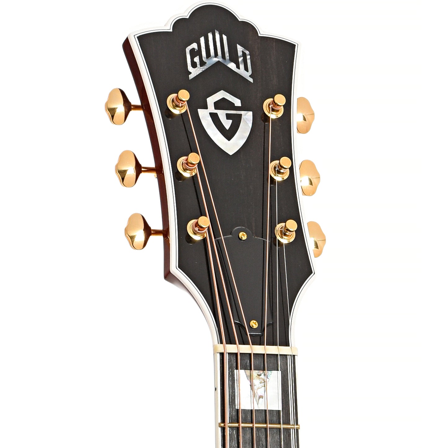 Front headstock of Guild GSR D-55 70th Anniversary Limited Edtition Dreadnought Acoustic 