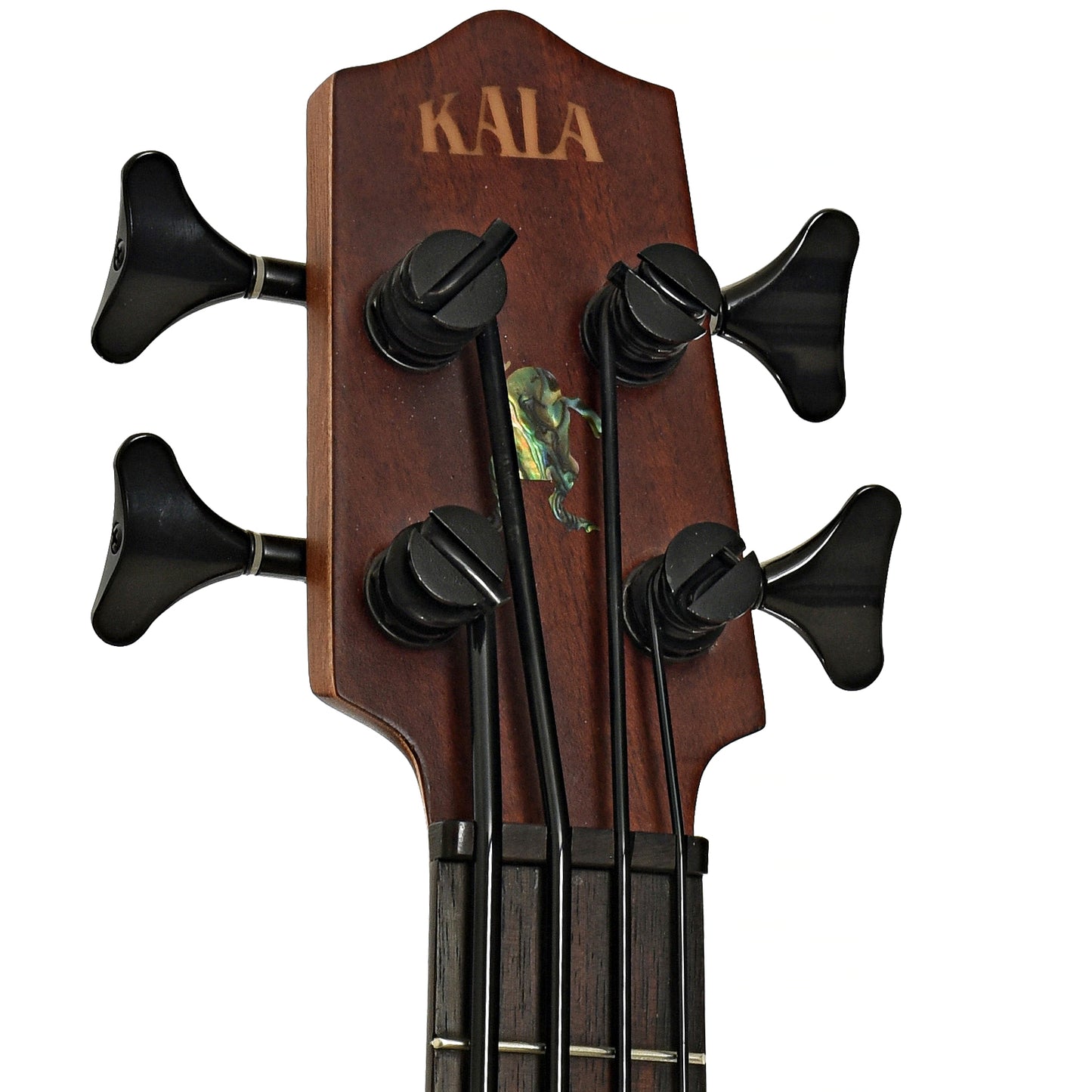 Headstock of Kala Hutch Hutchinson U-Bass Acoustic-Electric Bass