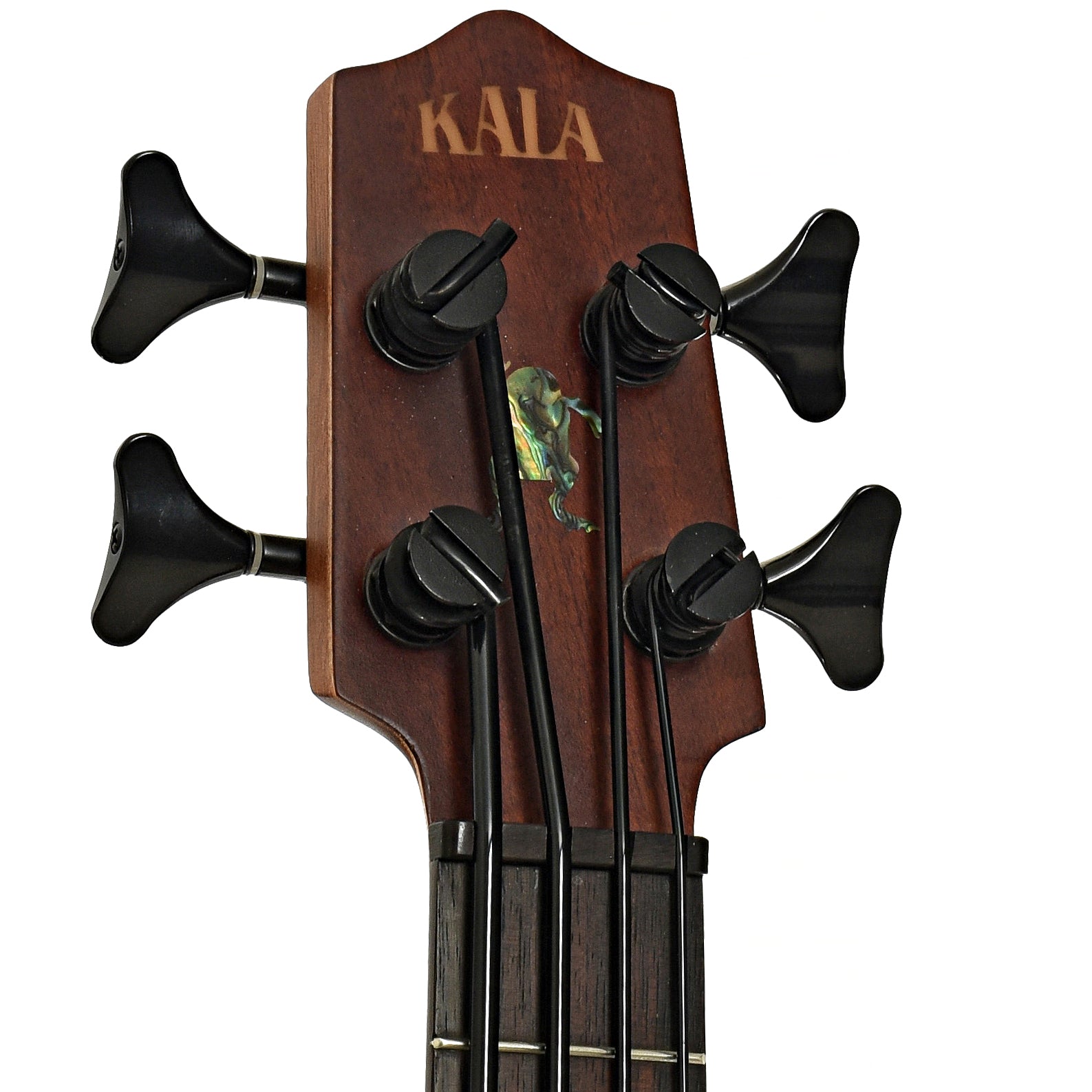 Headstock of Kala Hutch Hutchinson U-Bass Acoustic-Electric Bass