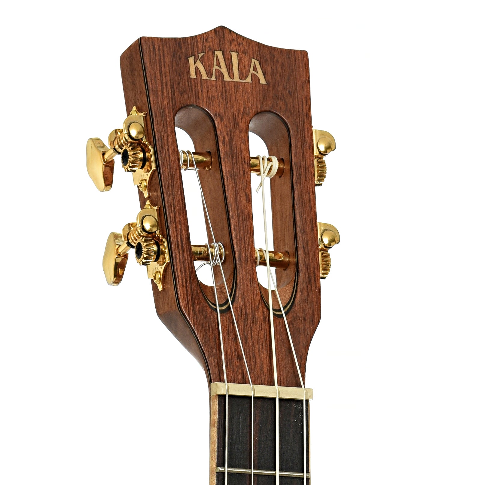 Headstock of Kala KA-AMHG-ST Tenor XL Ukulele 