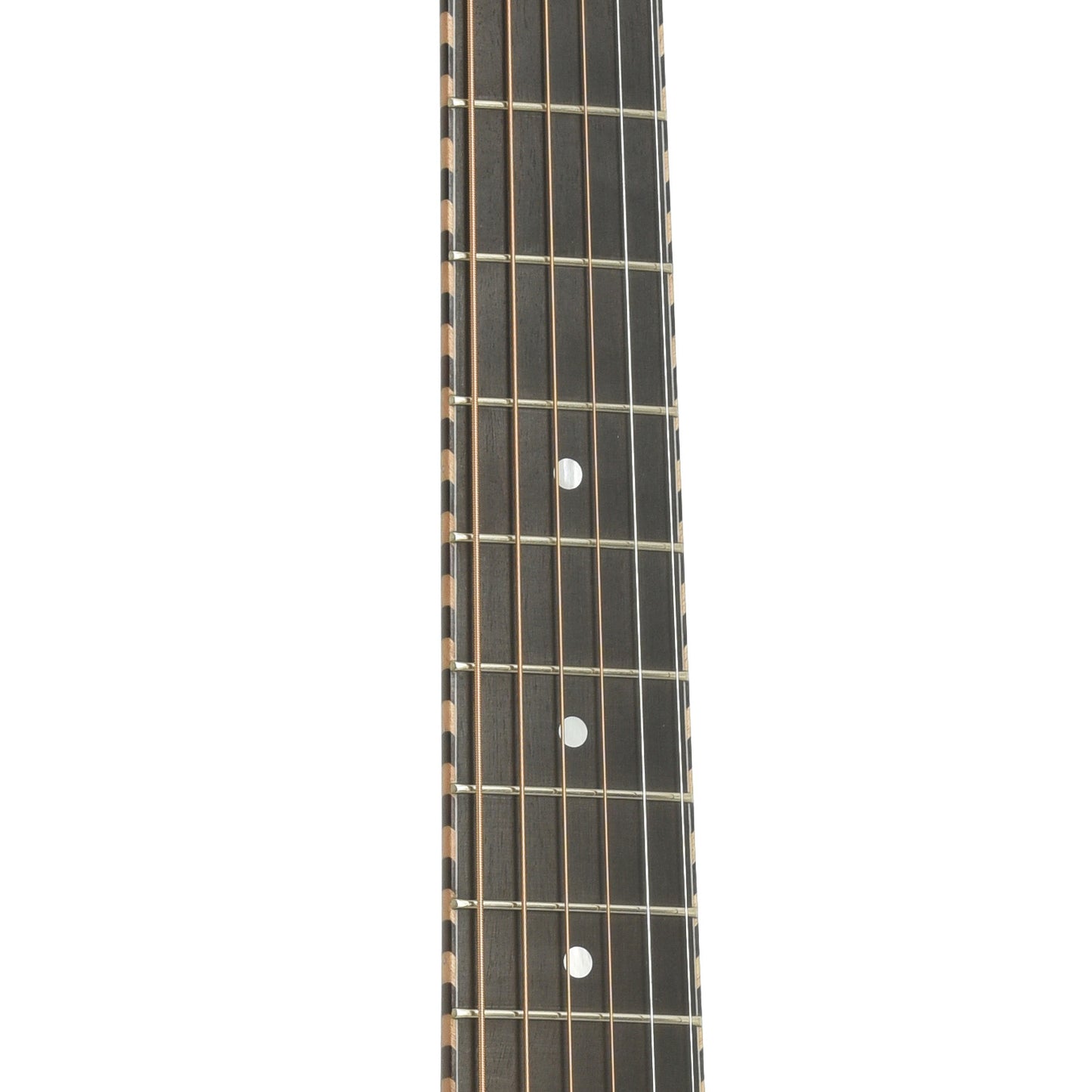 Fretboard of National M2 Roundneck Resonator Acoustic Guitar