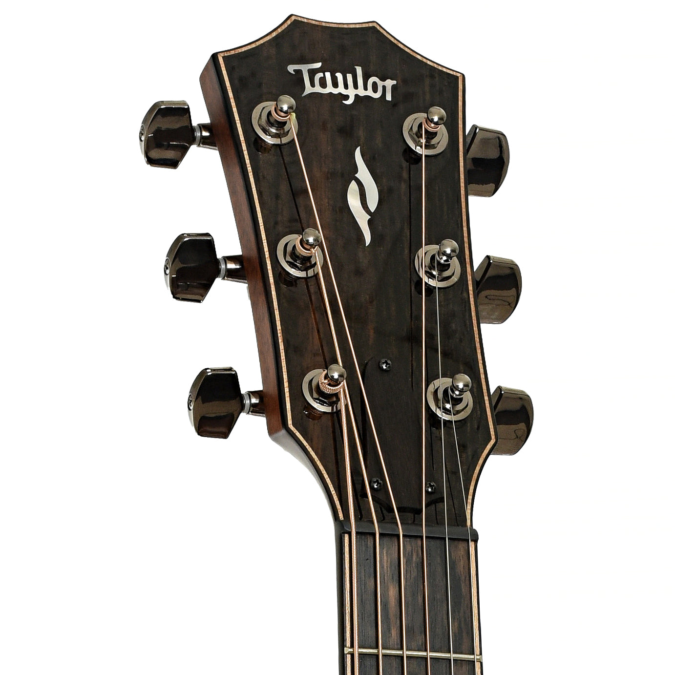 Headstock of Taylor Next Generation 814ce Acoustic Guitar