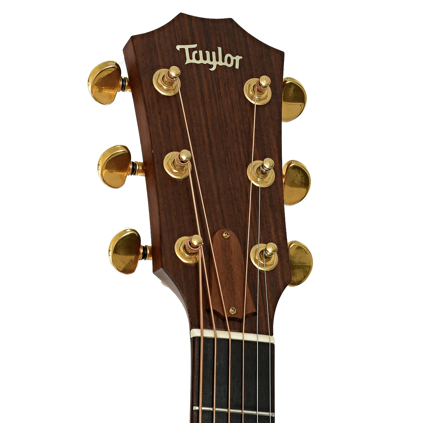 Headstock of Taylor LKSM-6 Leo Kottke Signature Model