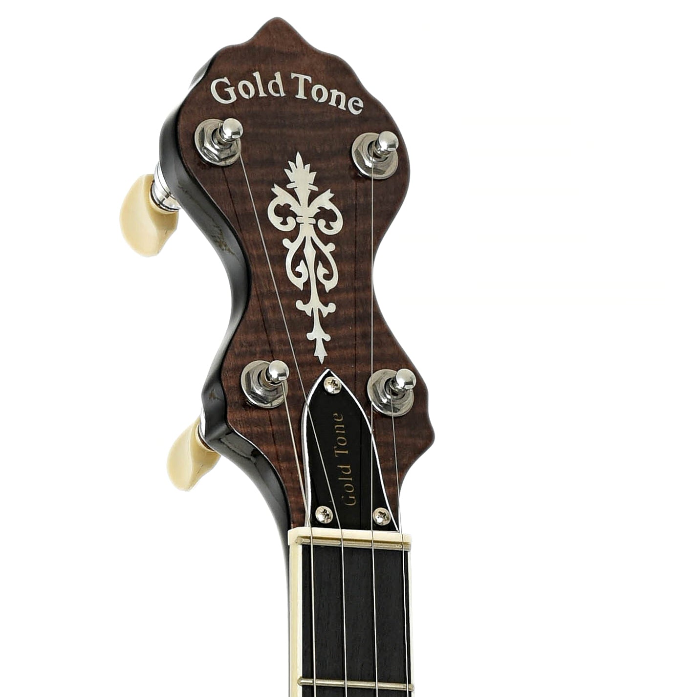 Headstock of Gold Tone WL-250 White Laydie Openback Banjo 